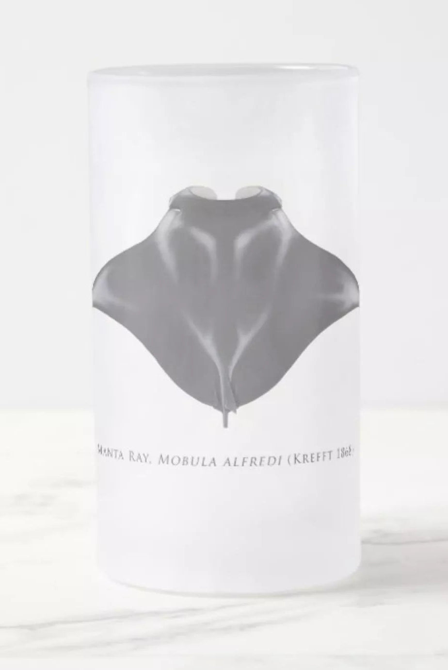 Reef Manta - Frosted Glass Stein-Stick Figure Fish Illustration