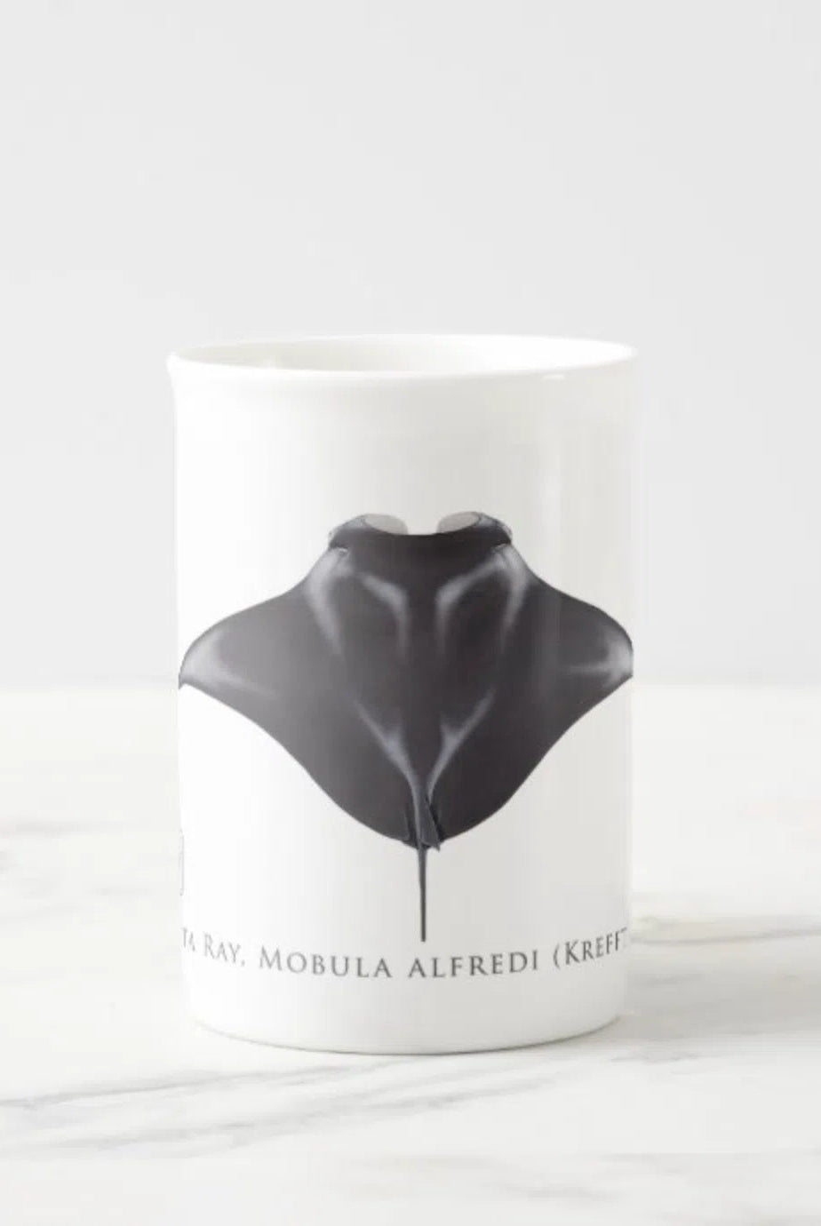 Reef Manta Ray - Fine Bone China Mug-Stick Figure Fish Illustration