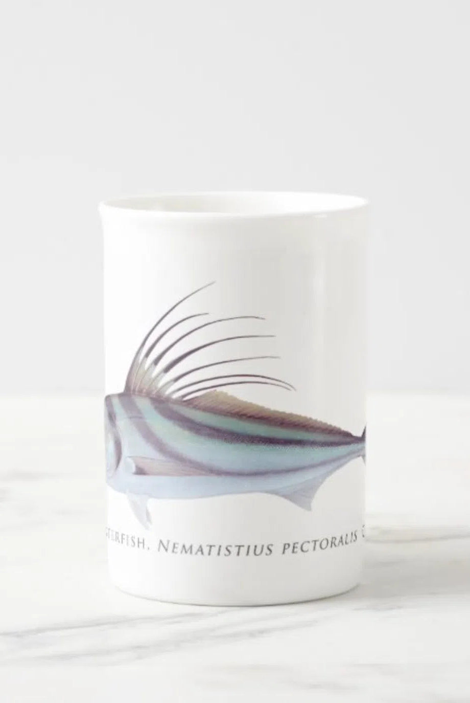 Rooster Fish - Fine Bone China Mug-Stick Figure Fish Illustration