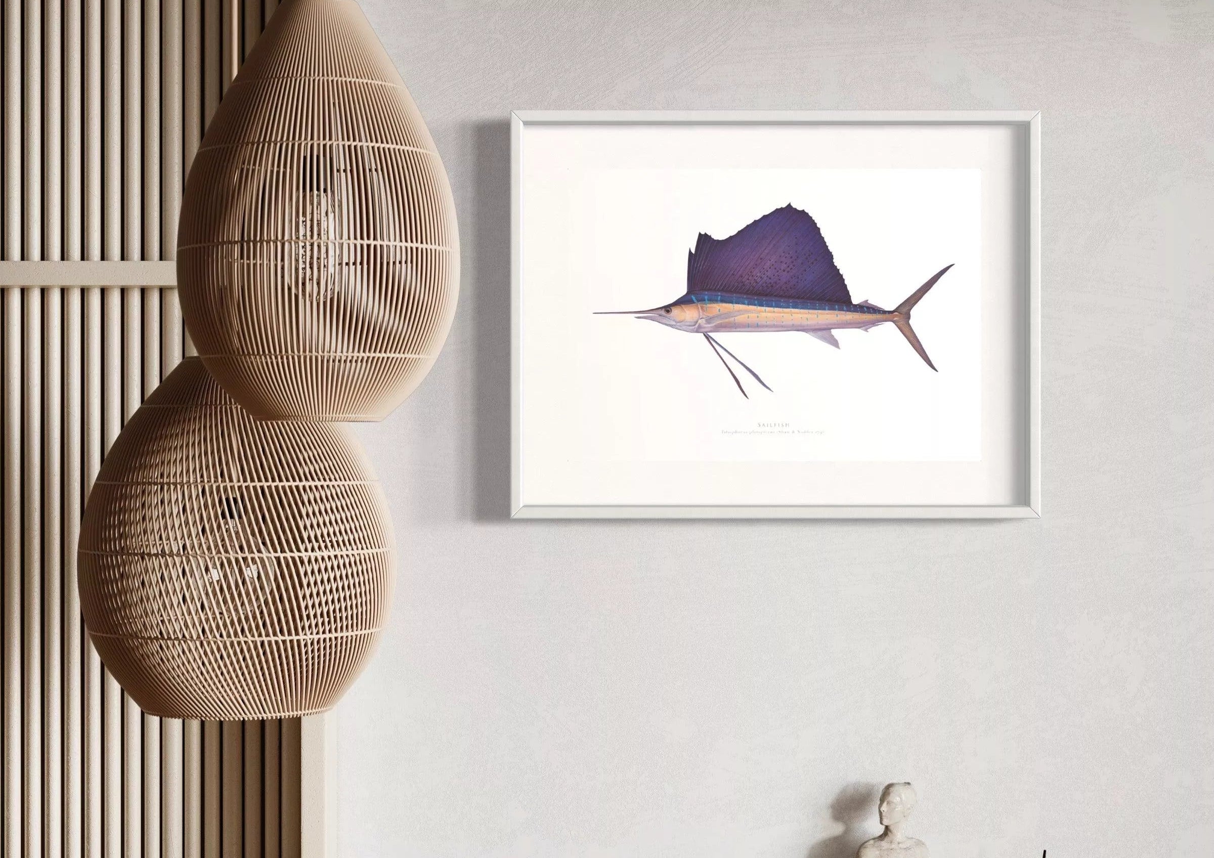 Sailfish - Istiophorus platypterus (Shaw & Nodder 1792) - Fine Art Print-Stick Figure Fish Illustration