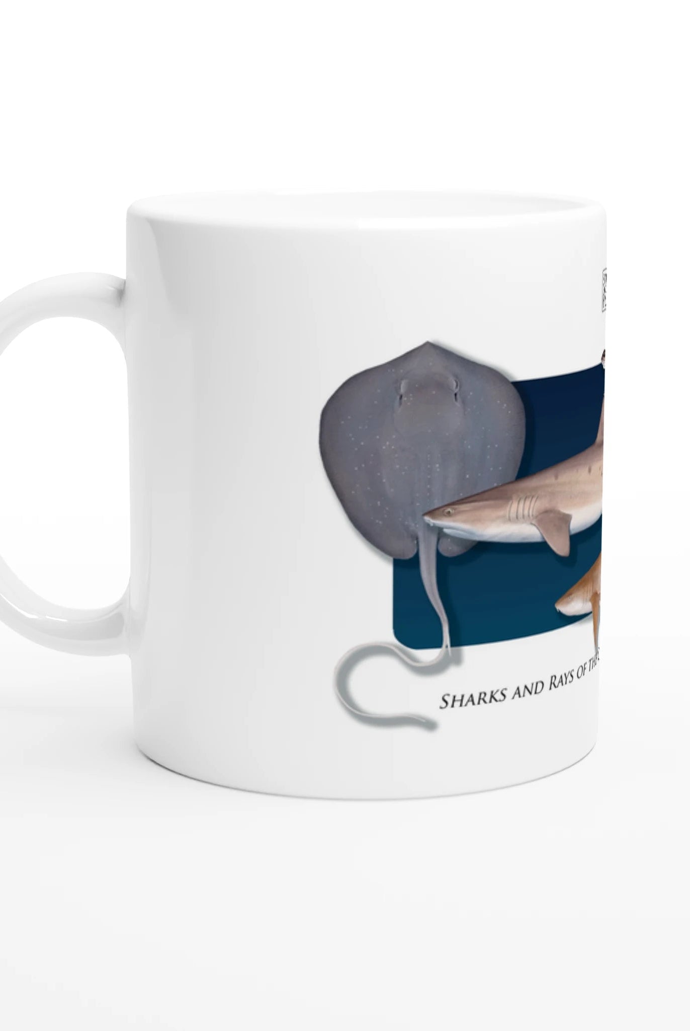 06c39da4-d31a-494d-aa49-920ebc33f0e8