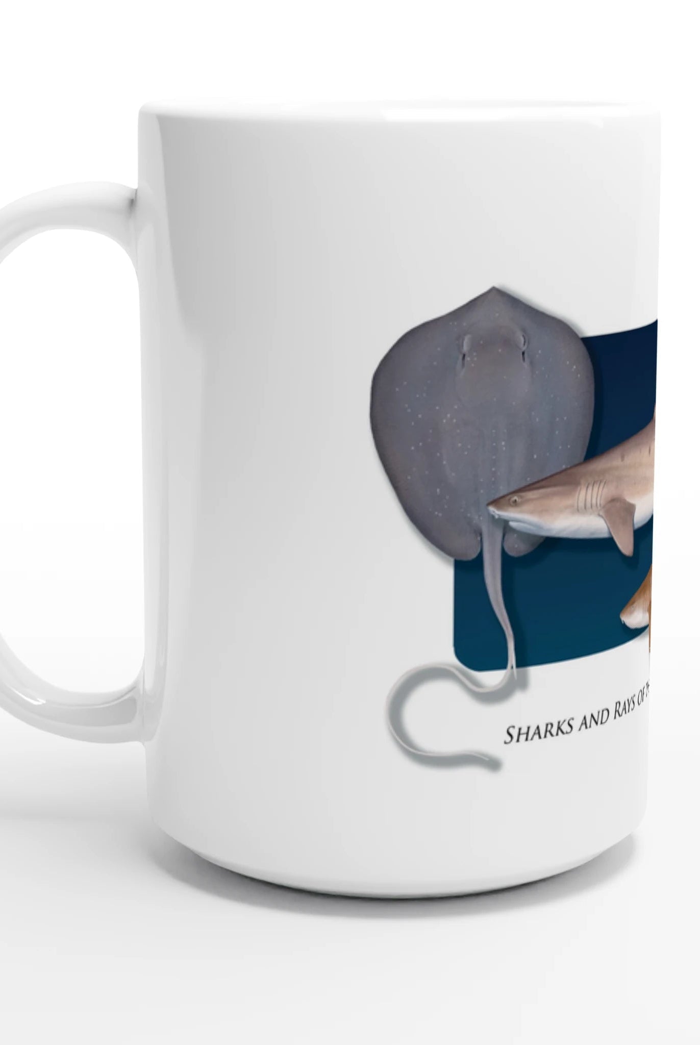 934e238e-4ff1-4fb2-9699-c30e239b16aa