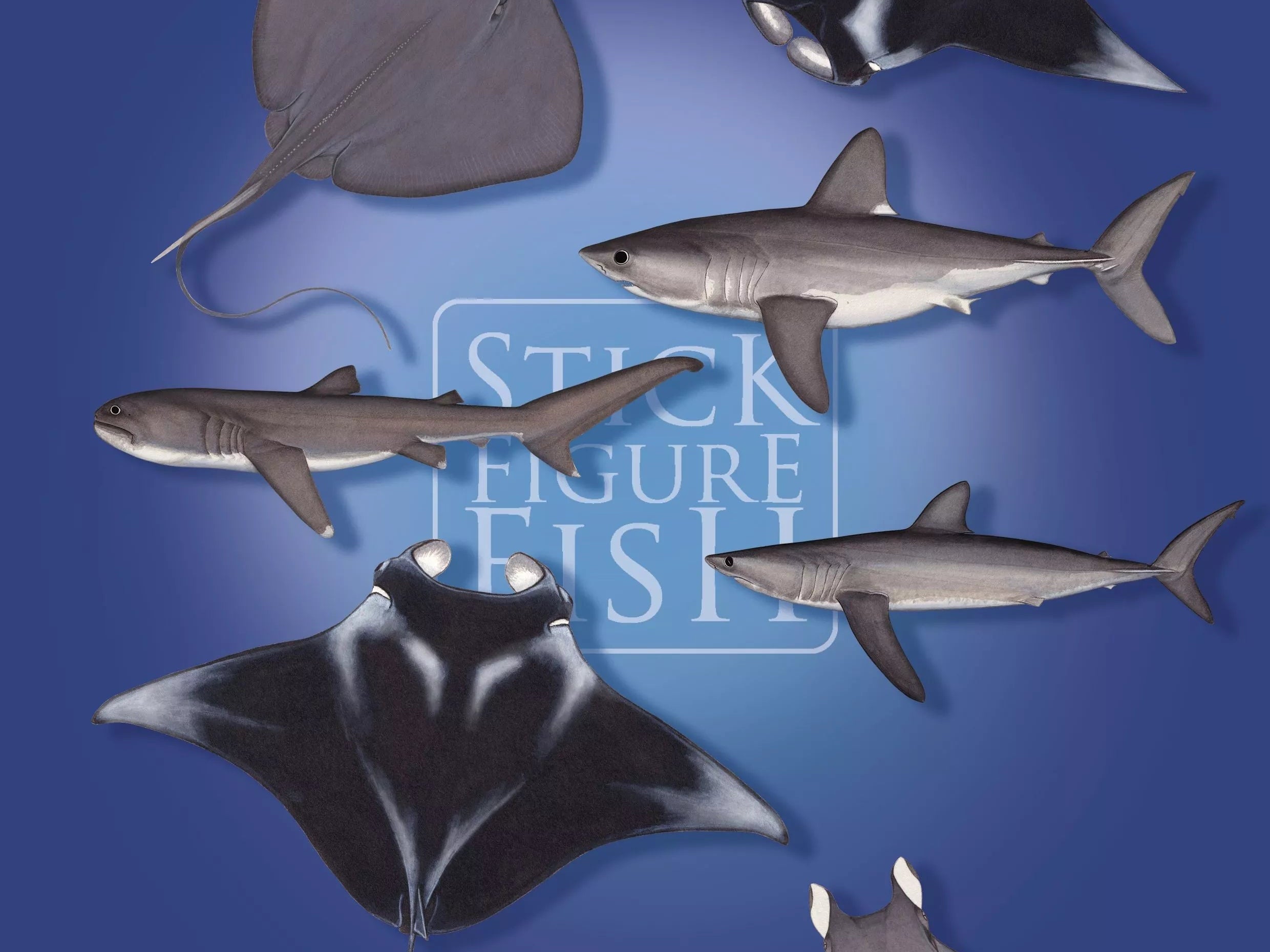 Sharks and Rays of the Open Ocean Sticker Sheet-Stick Figure Fish Illustration