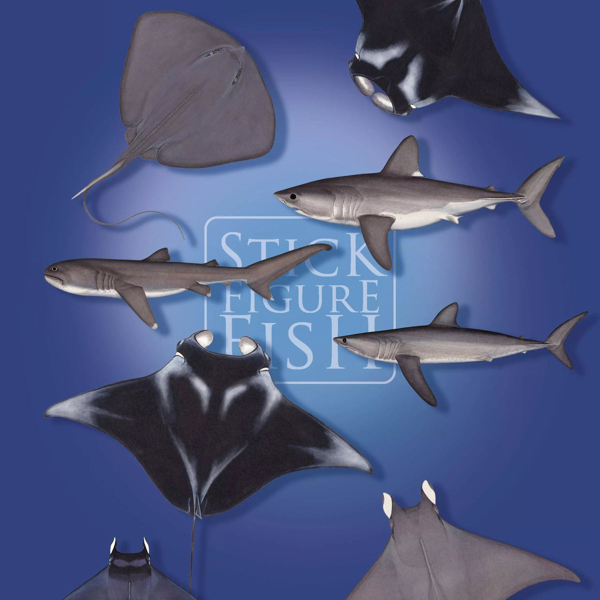 Sharks and Rays of the Open Ocean Sticker Sheet-Stick Figure Fish Illustration