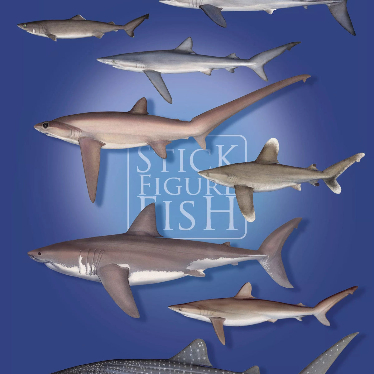 Sharks and Rays of the Open Ocean Sticker Sheet-Stick Figure Fish Illustration