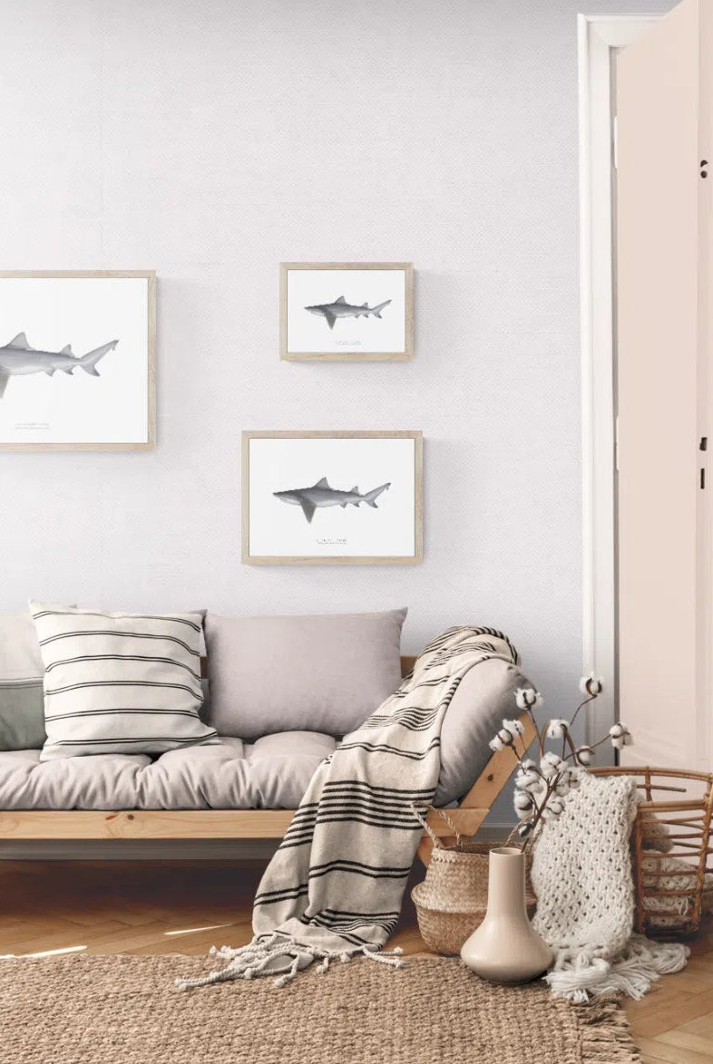 Speartooth Shark, Glyphis glyphis (Müller & Henle 1839) - Fine Art Print-Stick Figure Fish Illustration