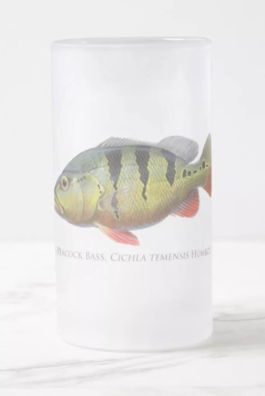 Speckled Peacock Bass (Pavon) - Frosted Glass Stein-Stick Figure Fish Illustration