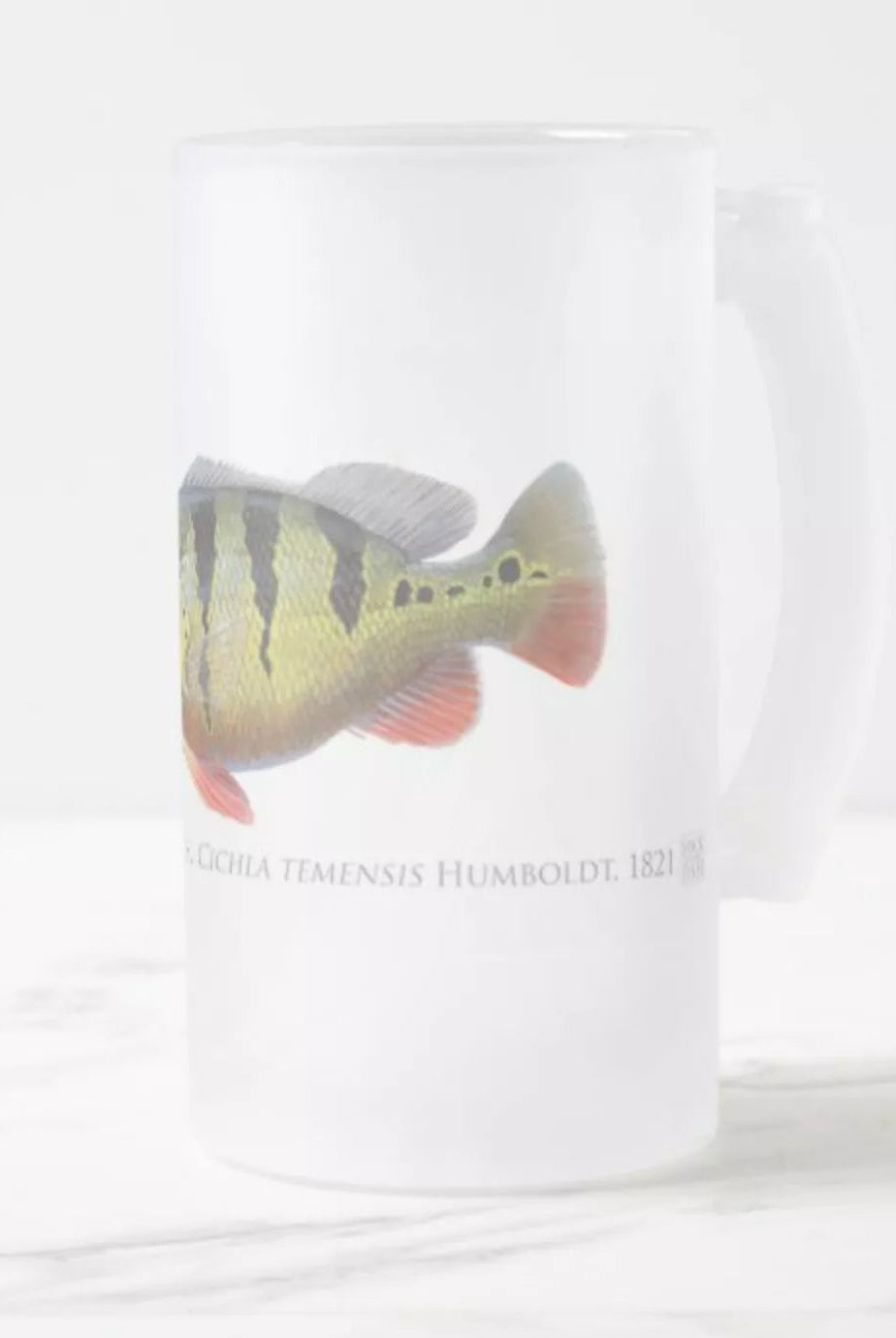 Speckled Peacock Bass (Pavon) - Frosted Glass Stein-Stick Figure Fish Illustration