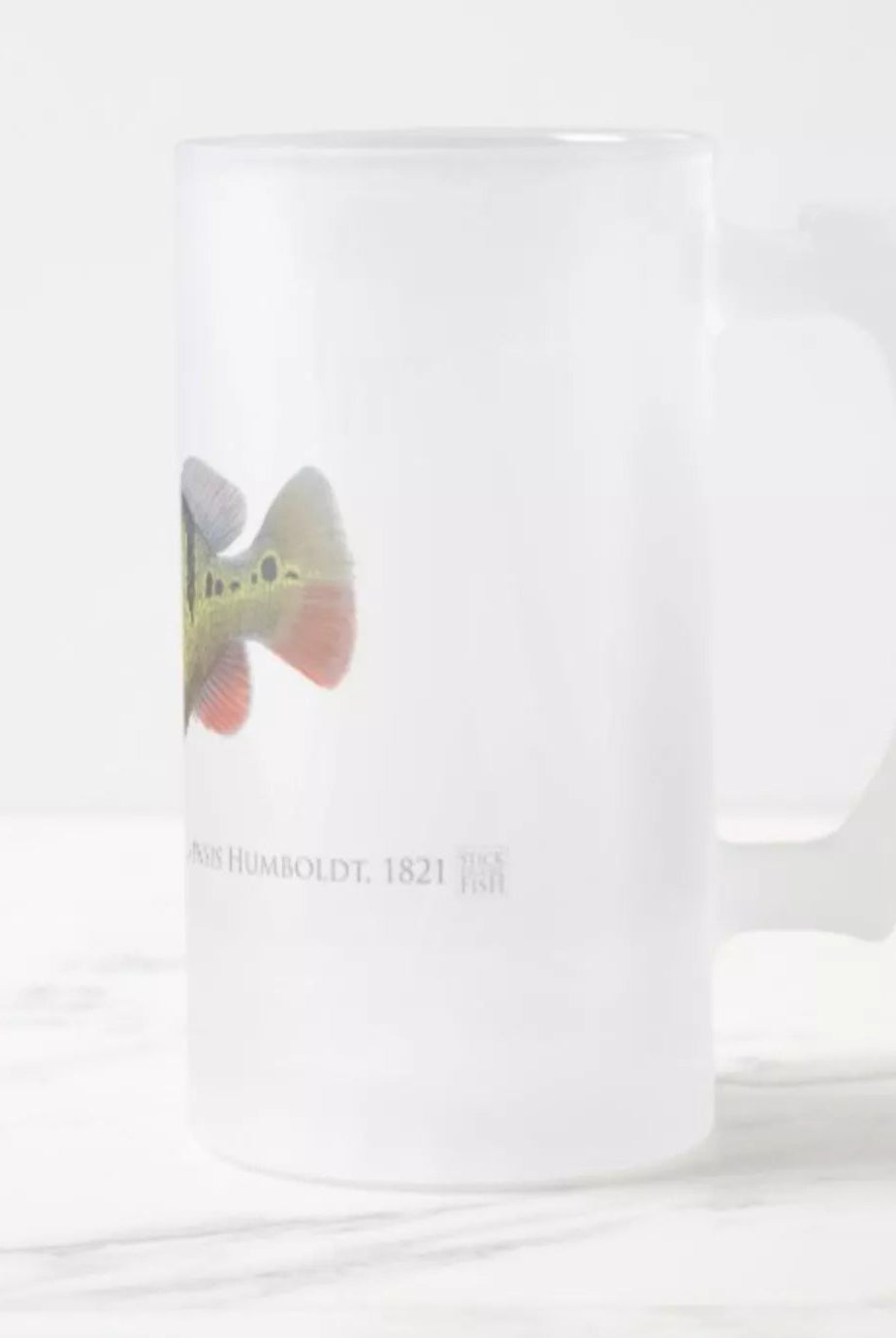 Speckled Peacock Bass (Pavon) - Frosted Glass Stein-Stick Figure Fish Illustration