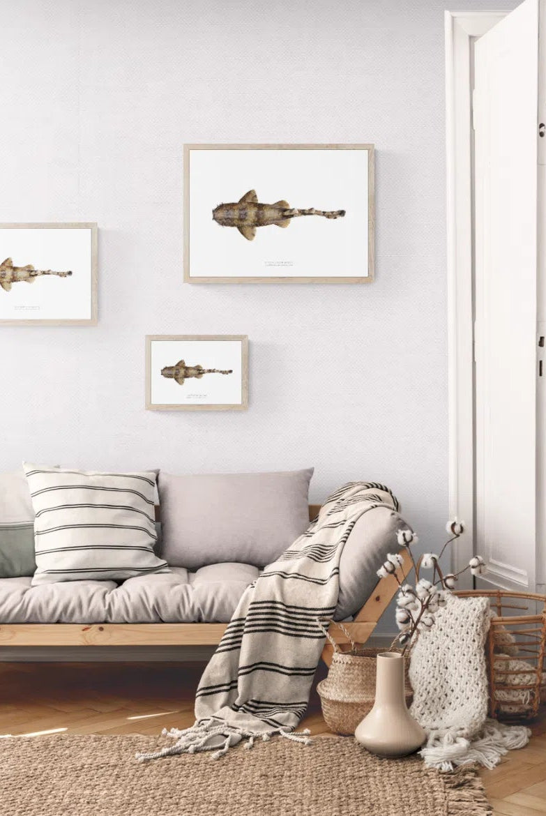 Spotted Wobbegong, Orectolobus maculatus (Bonnaterre 1788) - Fine Art Print-Stick Figure Fish Illustration