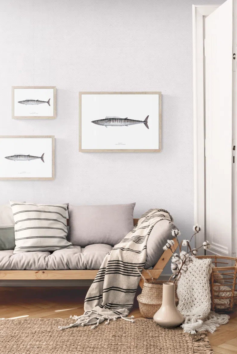 Wahoo, Acanthocybium solandri (Cuvier 1832) - Illustration 1 - Fine Art Print-Stick Figure Fish Illustration