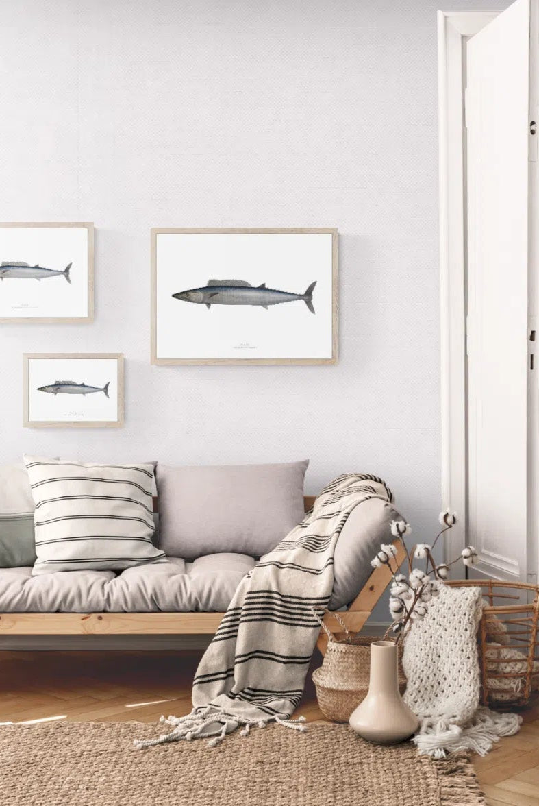 Wahoo, Acanthocybium solandri (Cuvier 1832) - Illustration 2 - Fine Art Print-Stick Figure Fish Illustration