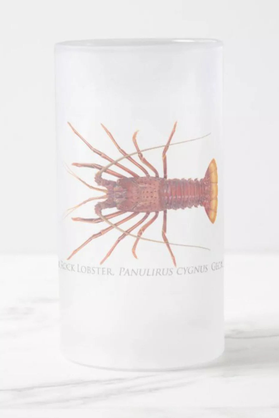 Western Rock Lobster - Frosted Glass Stein-Stick Figure Fish Illustration