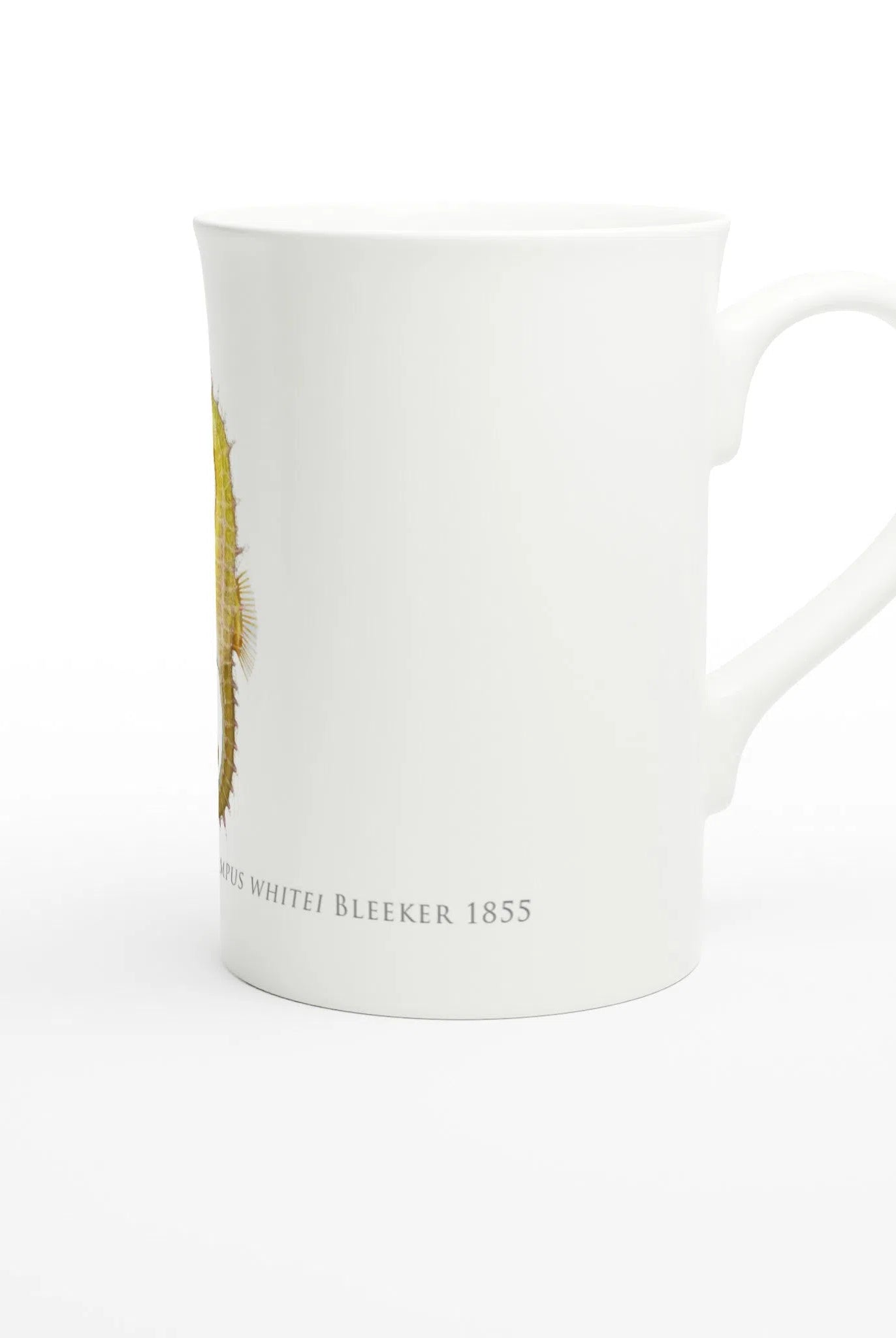 White's Seahorse - Fine Bone China Mug-Stick Figure Fish Illustration