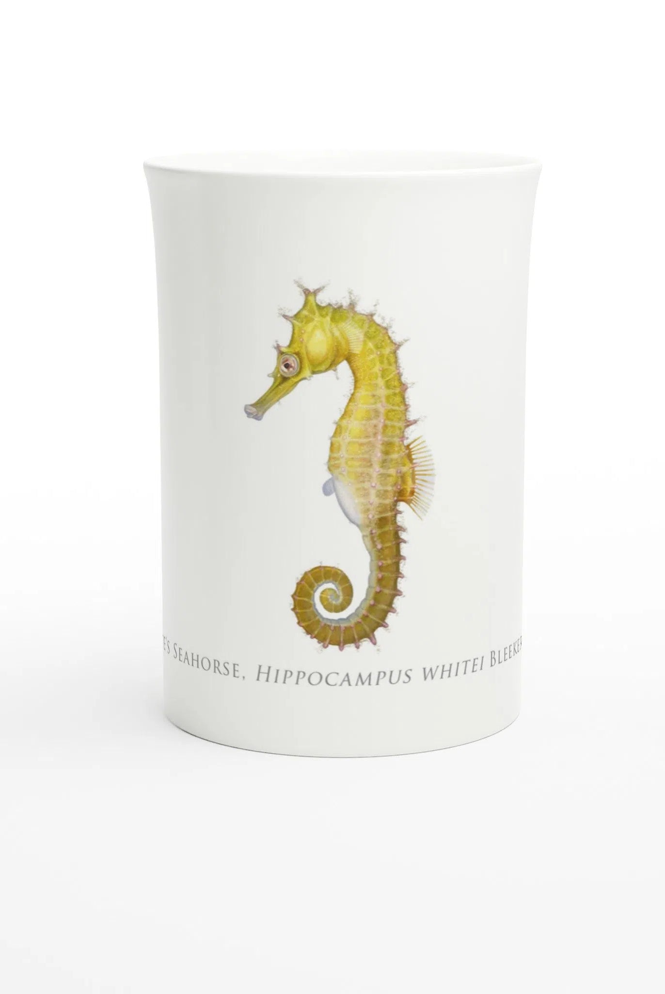 White's Seahorse - Fine Bone China Mug-Stick Figure Fish Illustration