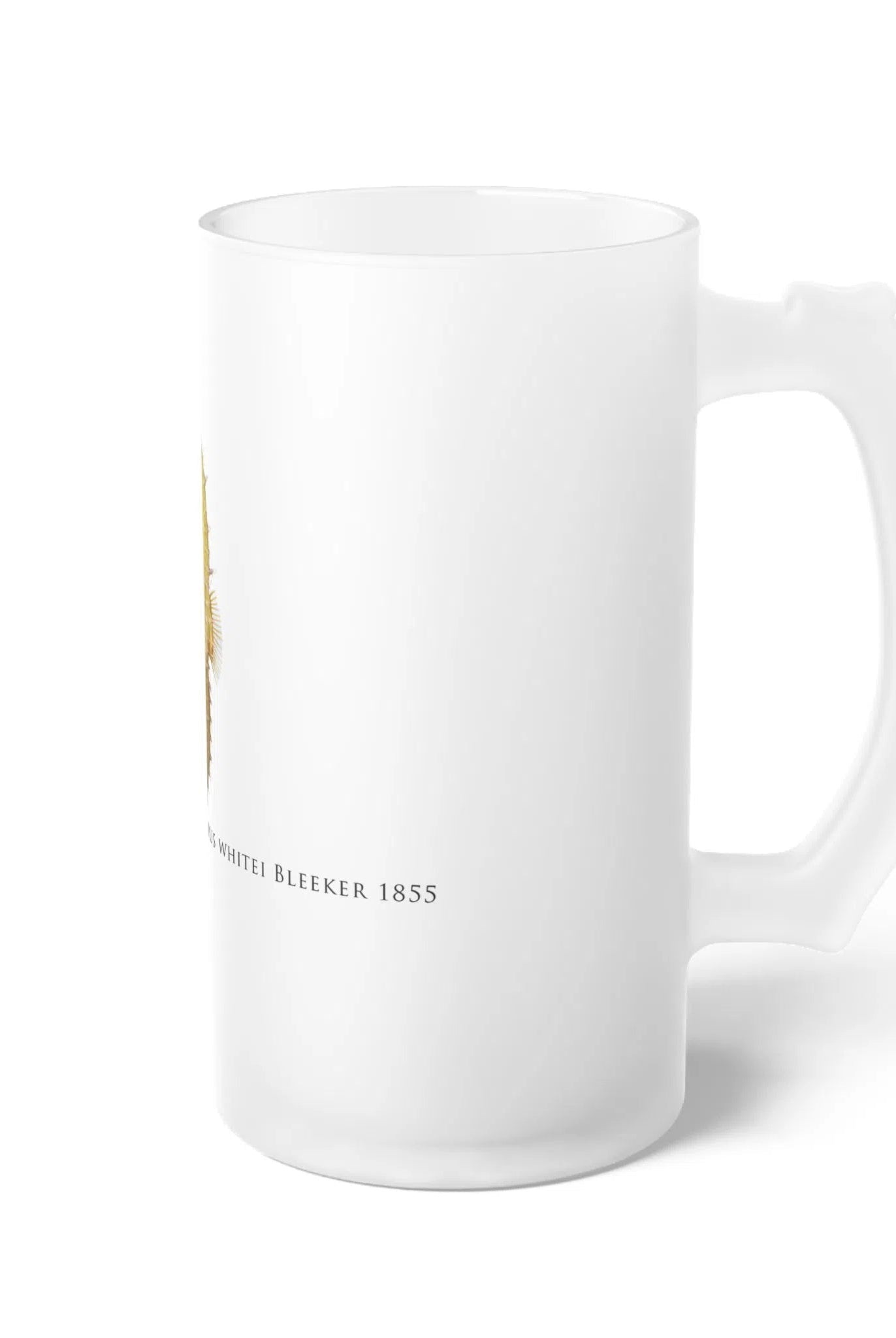 White's Seahorse - Frosted Glass Stein-Stick Figure Fish Illustration