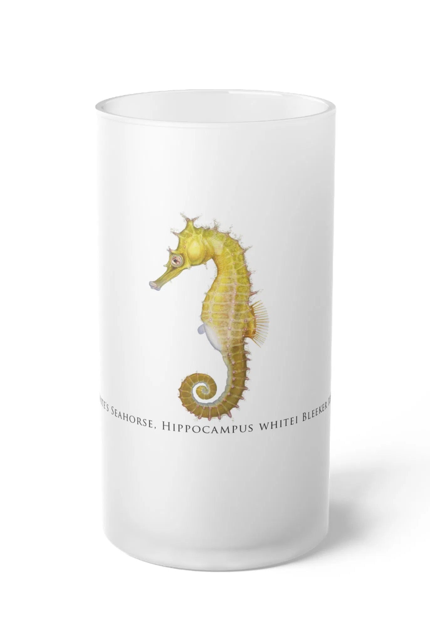 White's Seahorse - Frosted Glass Stein-Stick Figure Fish Illustration