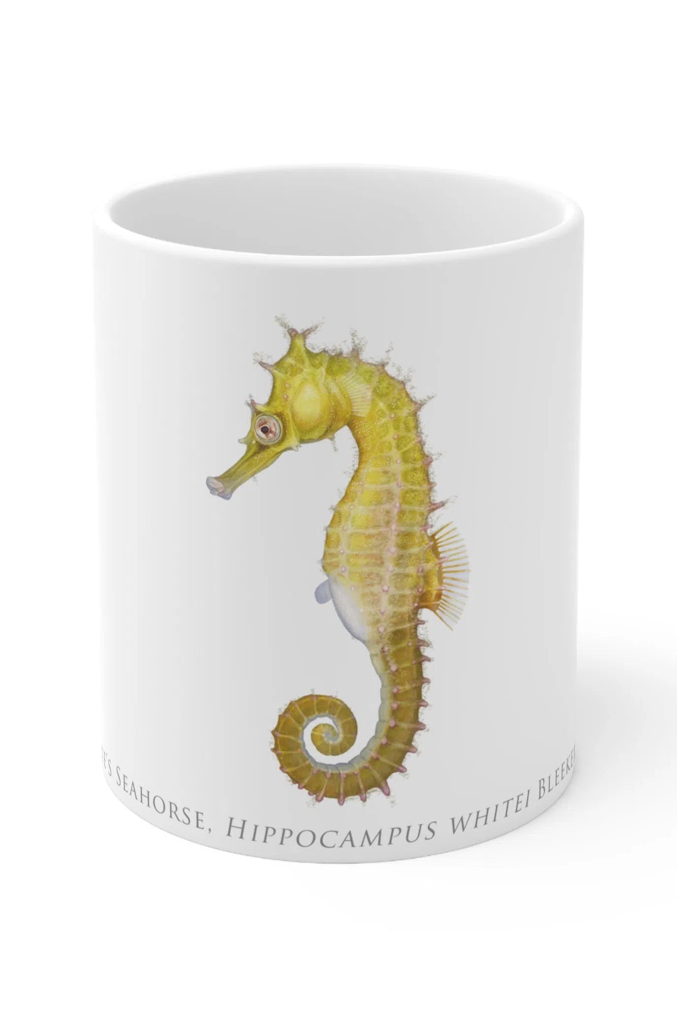 White's Seahorse Mug-Stick Figure Fish Illustration
