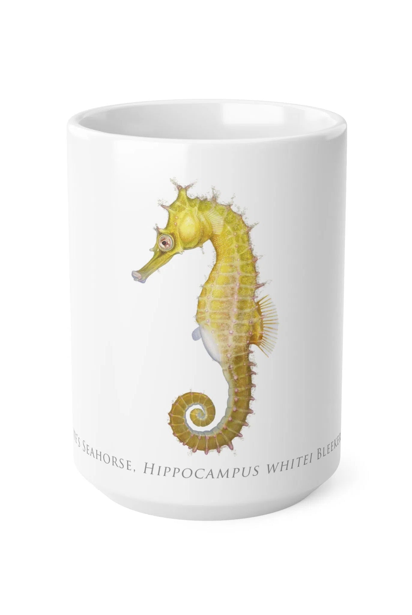 White's Seahorse Mug-Stick Figure Fish Illustration