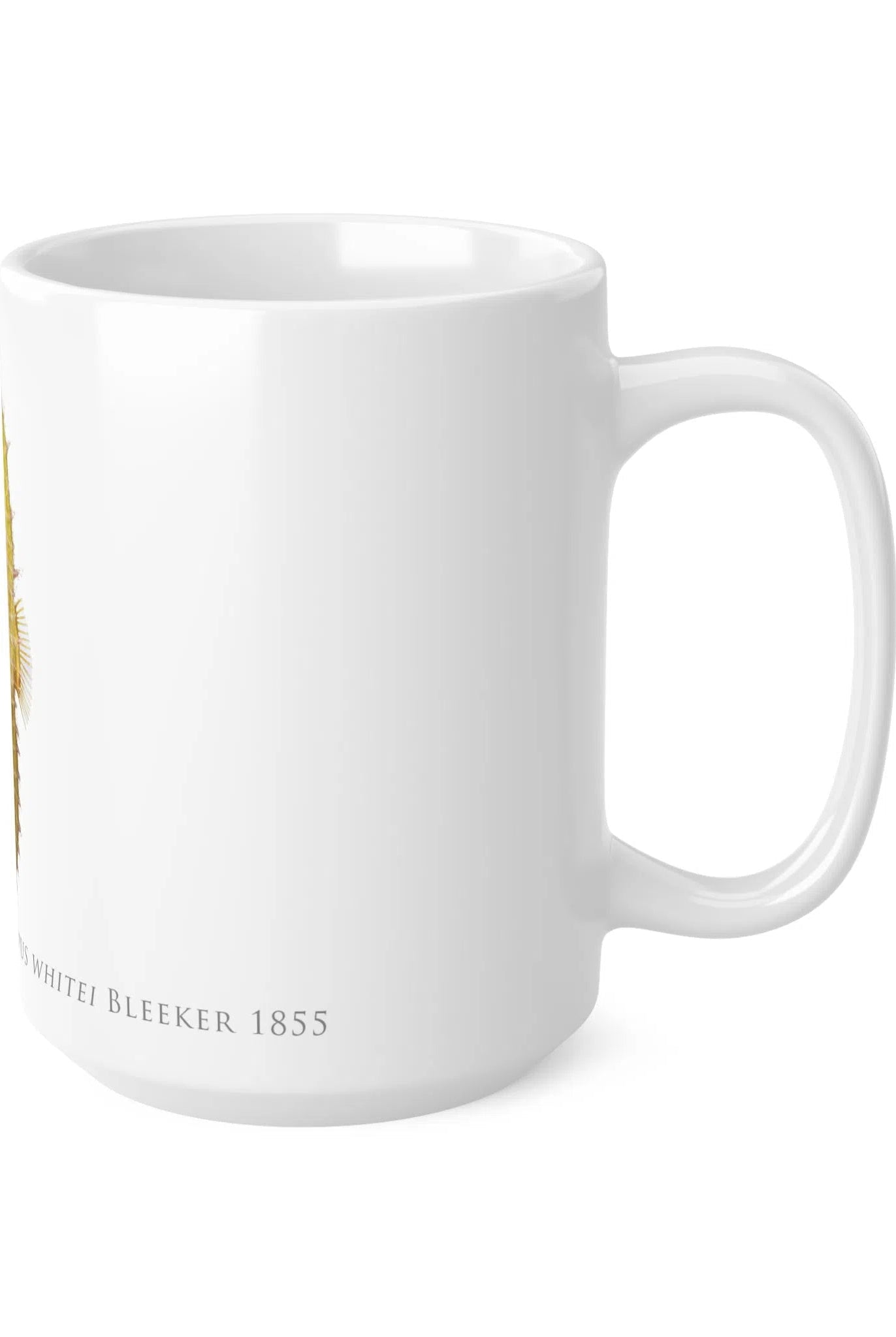 White's Seahorse Mug-Stick Figure Fish Illustration