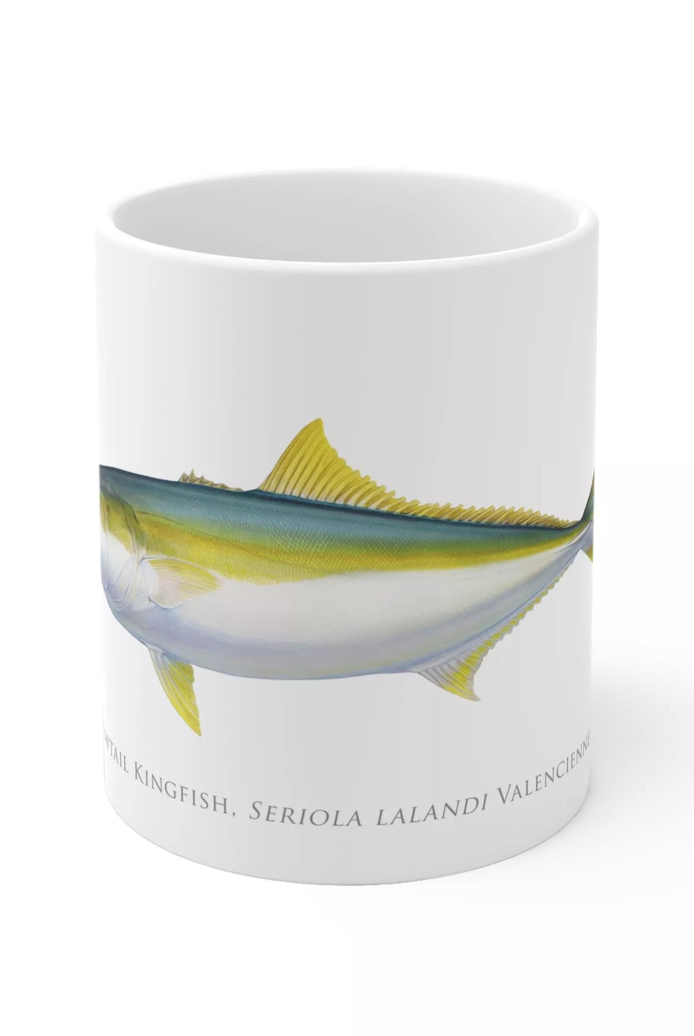 Yellowtail Kingfish - Mug-Stick Figure Fish Illustration