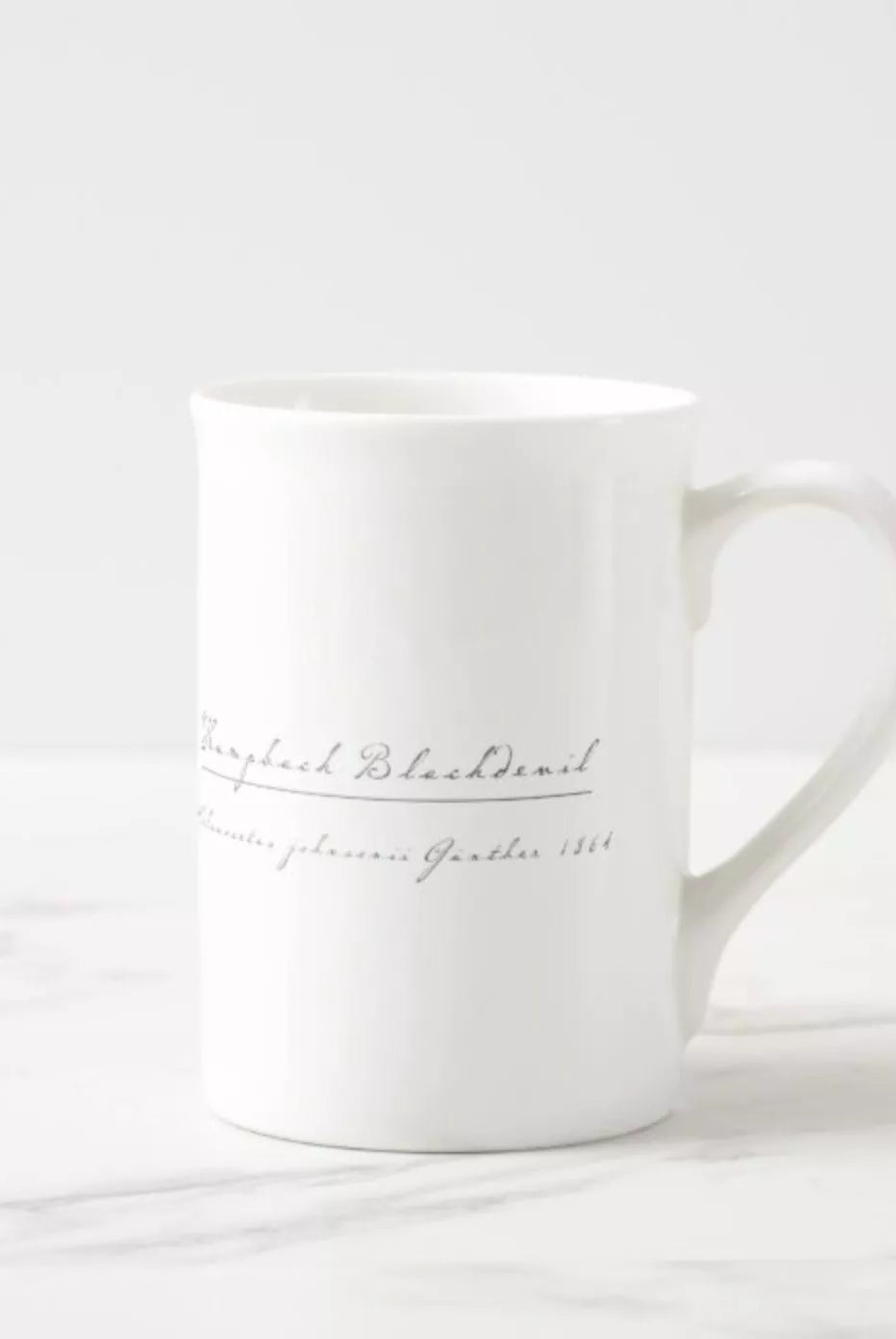 Humpback Blackdevil - Fine Bone China Mug-Stick Figure Fish Illustration