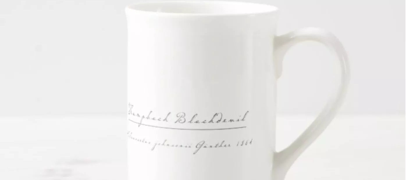 Humpback Blackdevil - Fine Bone China Mug-Stick Figure Fish Illustration