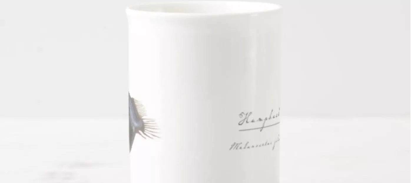 Humpback Blackdevil - Fine Bone China Mug-Stick Figure Fish Illustration