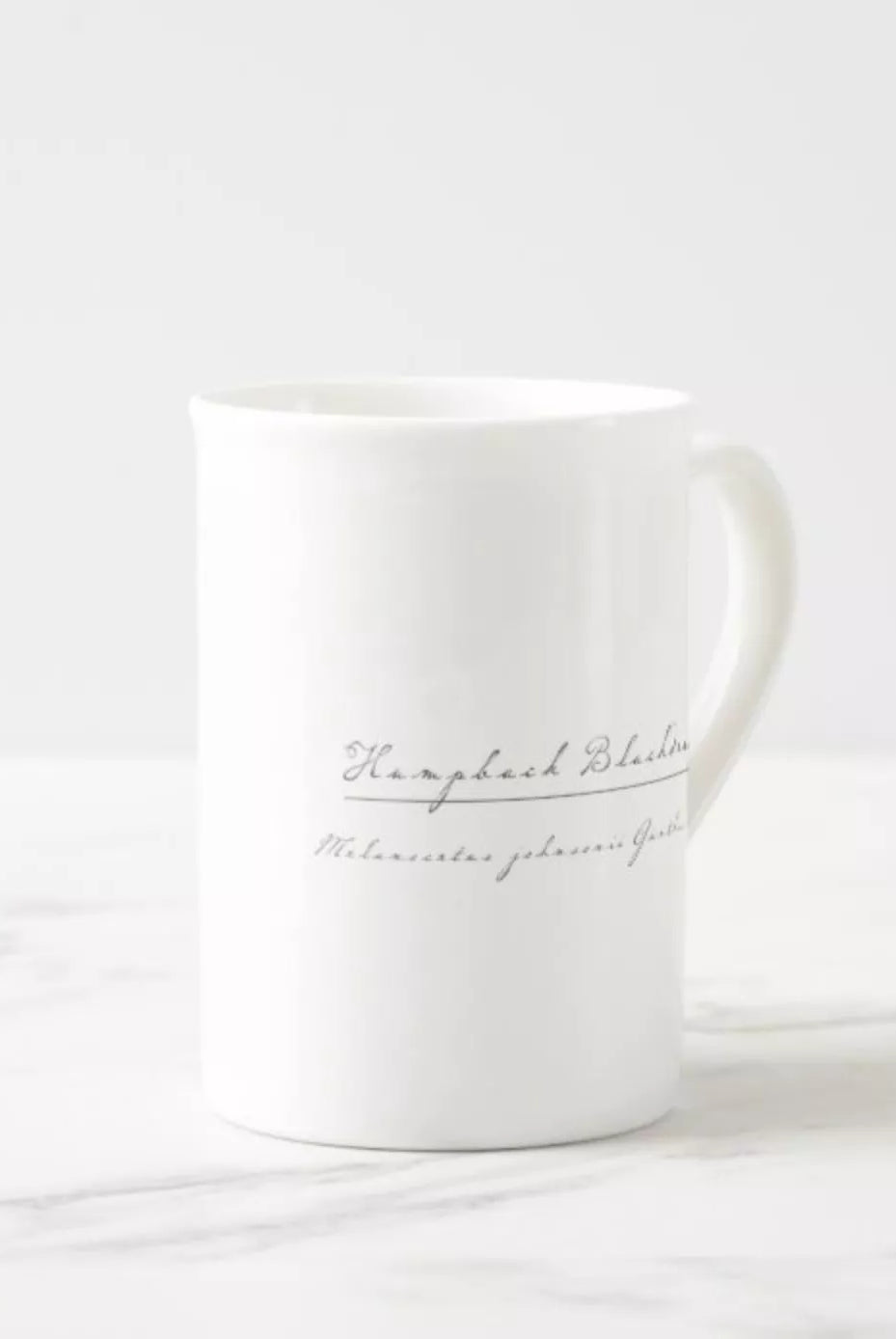 Humpback Blackdevil - Fine Bone China Mug-Stick Figure Fish Illustration