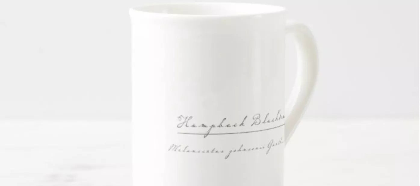 Humpback Blackdevil - Fine Bone China Mug-Stick Figure Fish Illustration