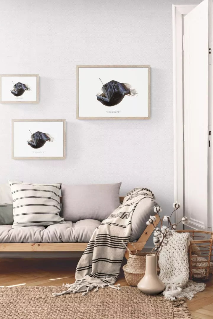 Humpback Blackdevil, Melanocetus johnsonii Gunther, 1864 - Fine Art Print-Stick Figure Fish Illustration