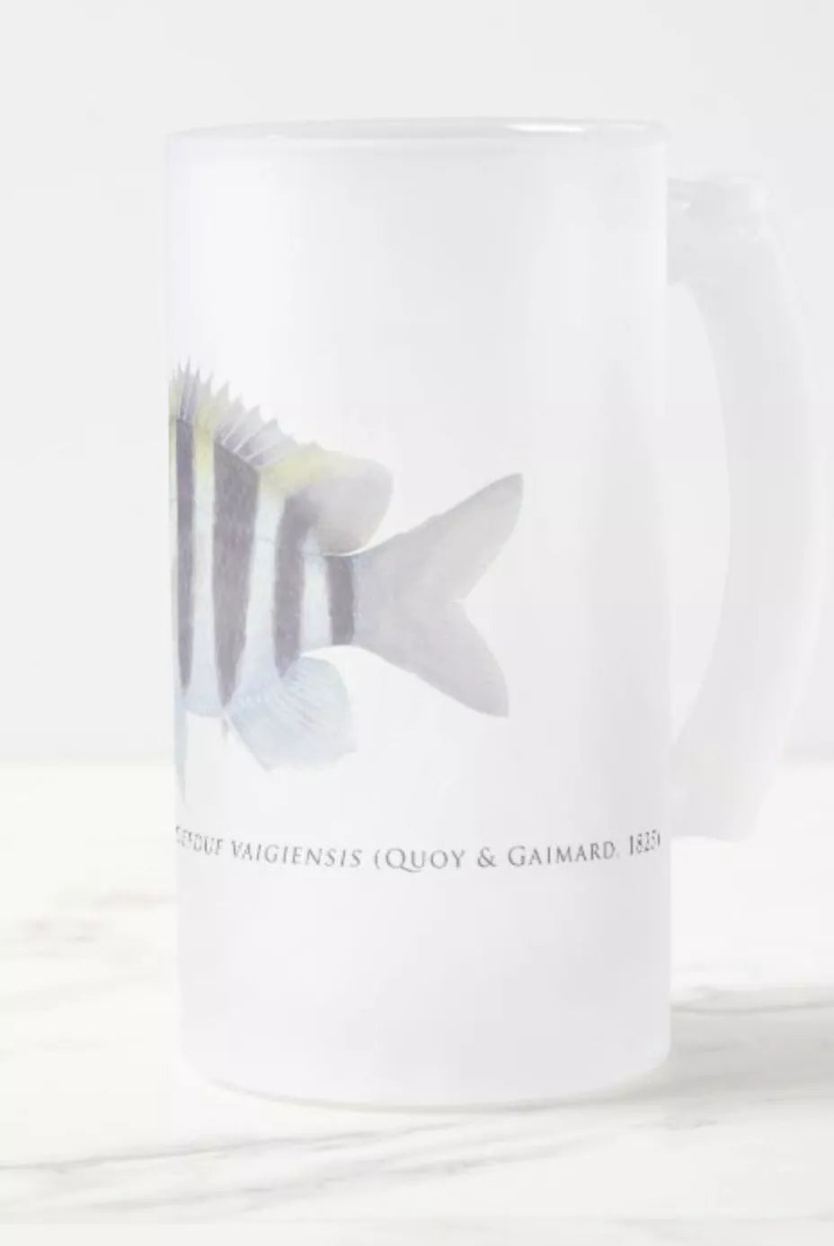 Indo-Pacific Sergeant - Frosted Glass Stein-Stick Figure Fish Illustration