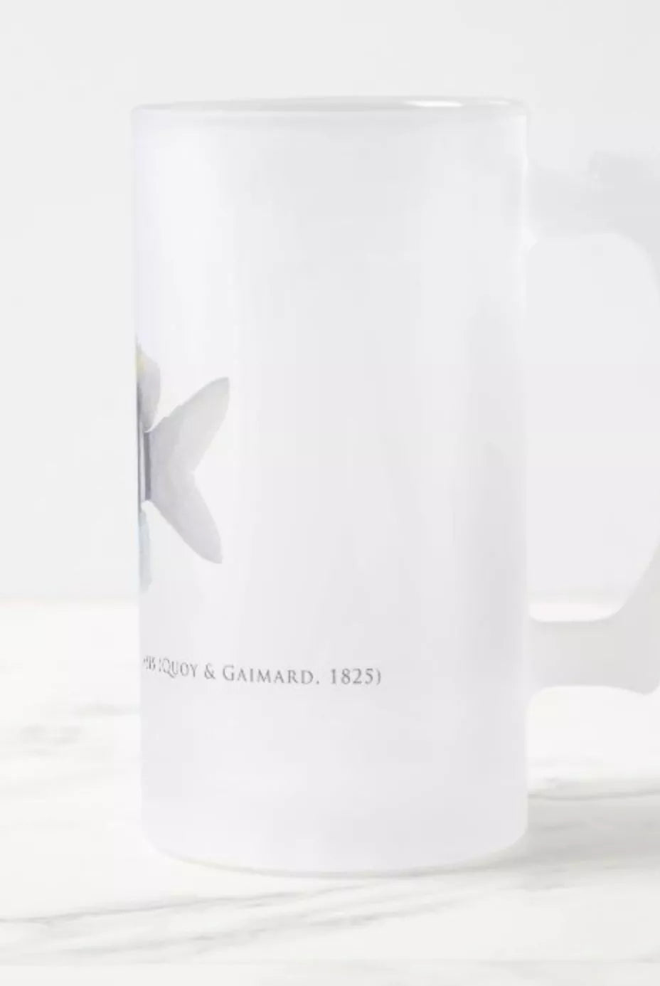 Indo-Pacific Sergeant - Frosted Glass Stein-Stick Figure Fish Illustration