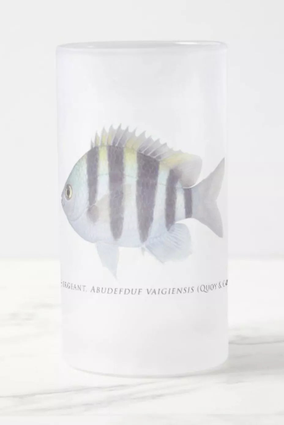 Indo-Pacific Sergeant - Frosted Glass Stein-Stick Figure Fish Illustration