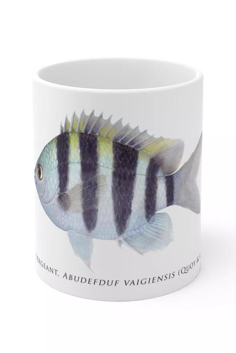 Indo-Pacific Sergeant Mug-Stick Figure Fish Illustration
