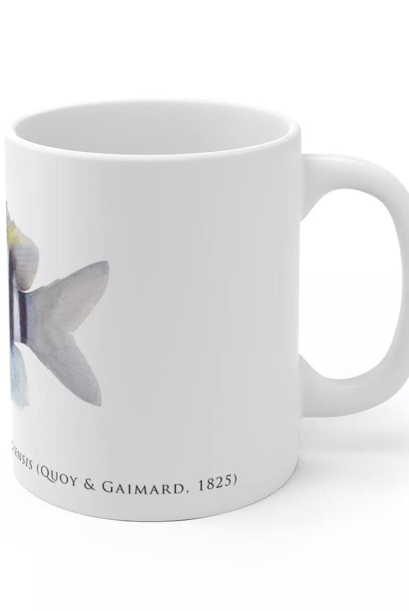 Indo-Pacific Sergeant Mug-Stick Figure Fish Illustration