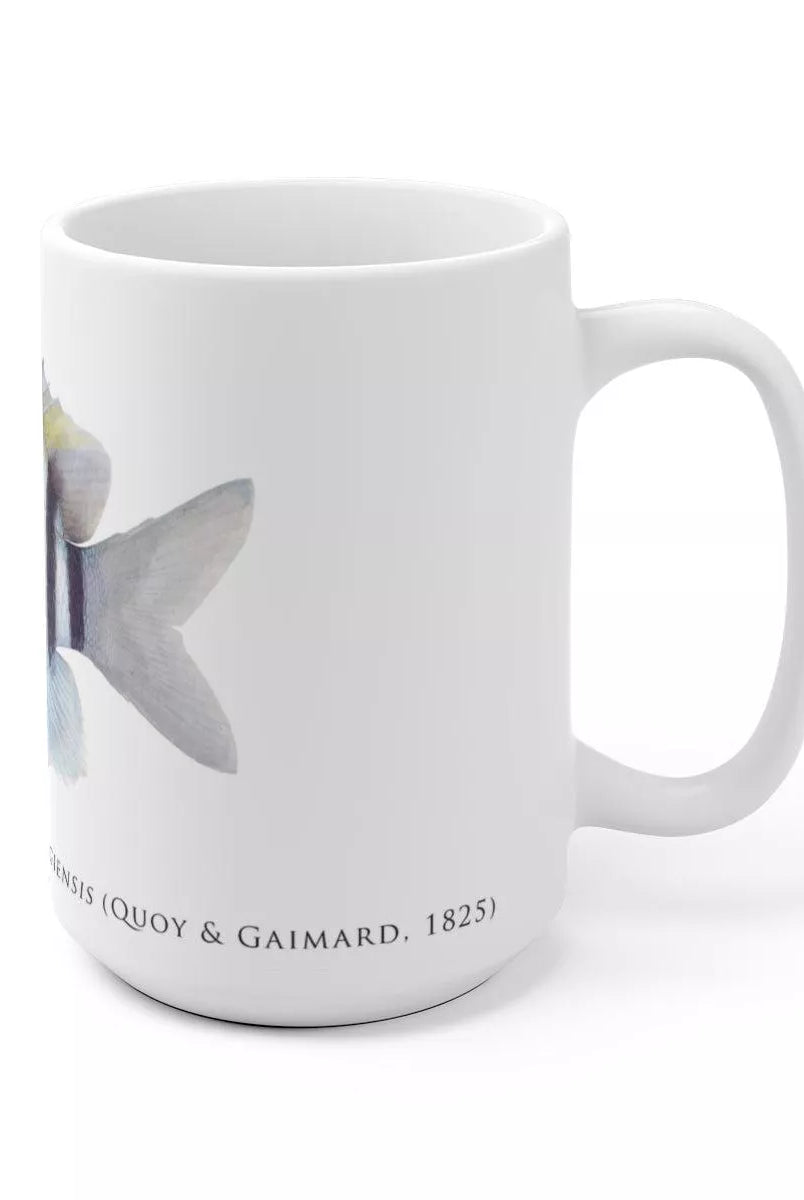 Indo-Pacific Sergeant Mug-Stick Figure Fish Illustration