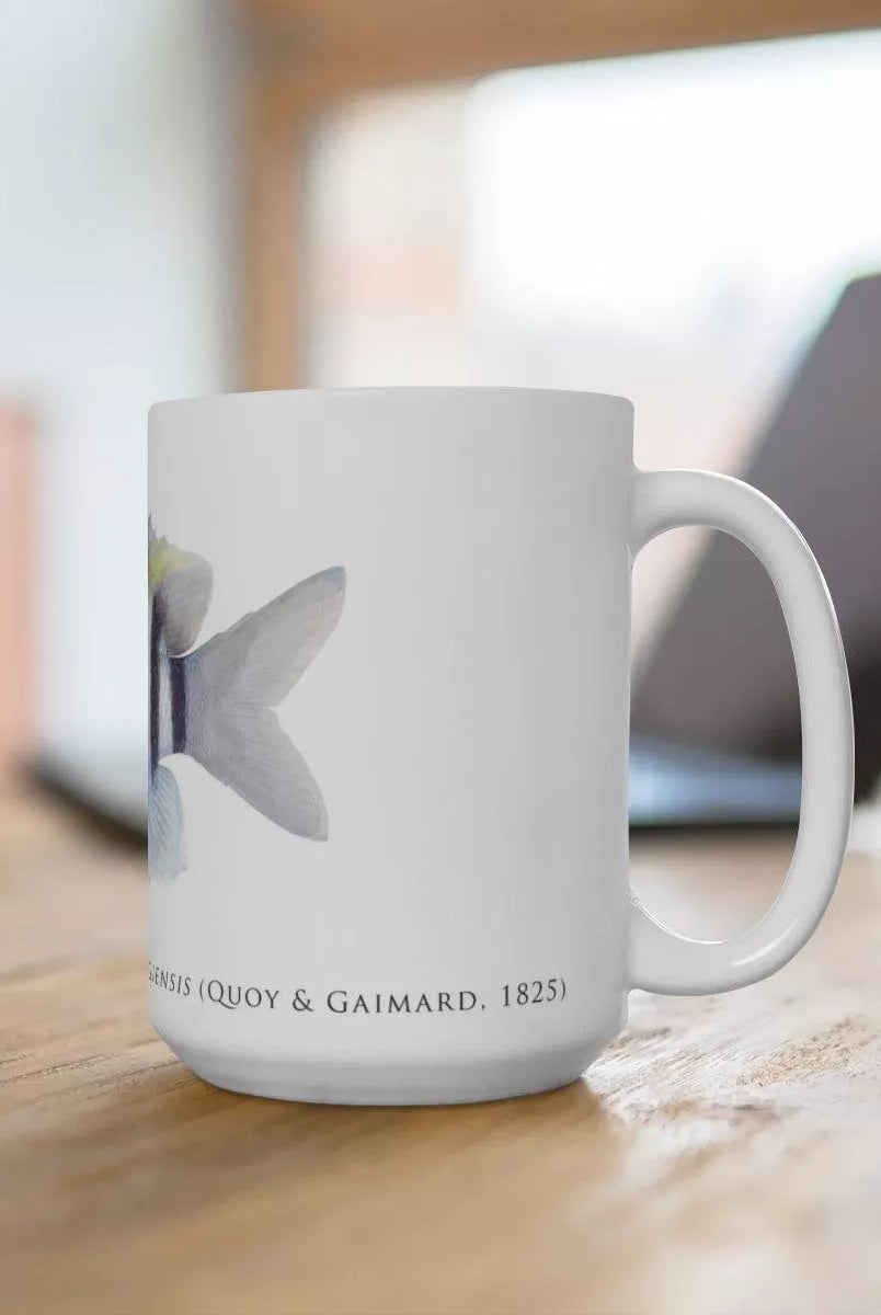 Indo-Pacific Sergeant Mug-Stick Figure Fish Illustration