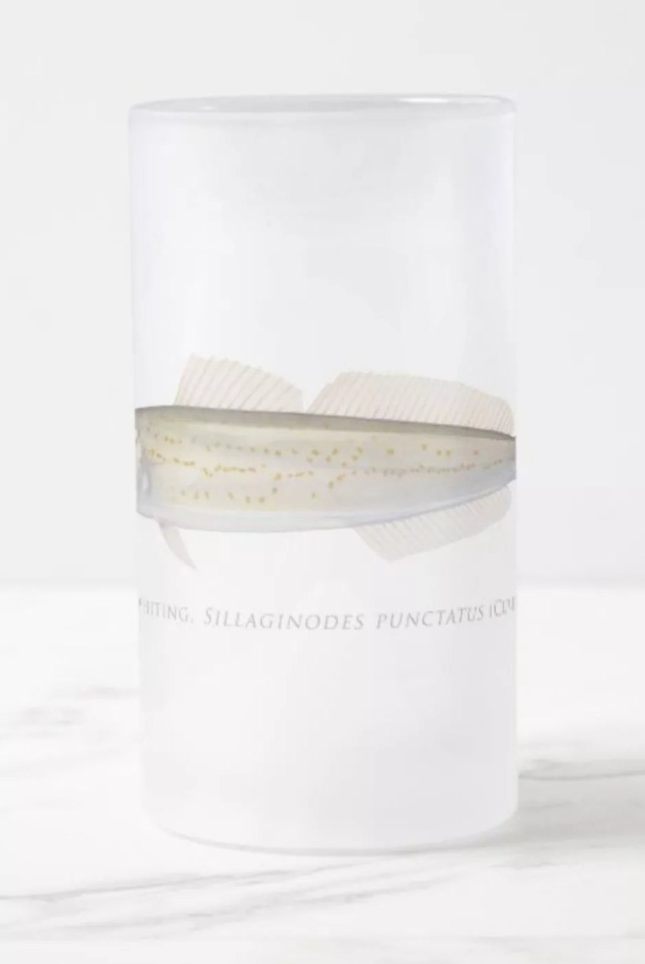 King George Whiting - Frosted Glass Stein-Stick Figure Fish Illustration