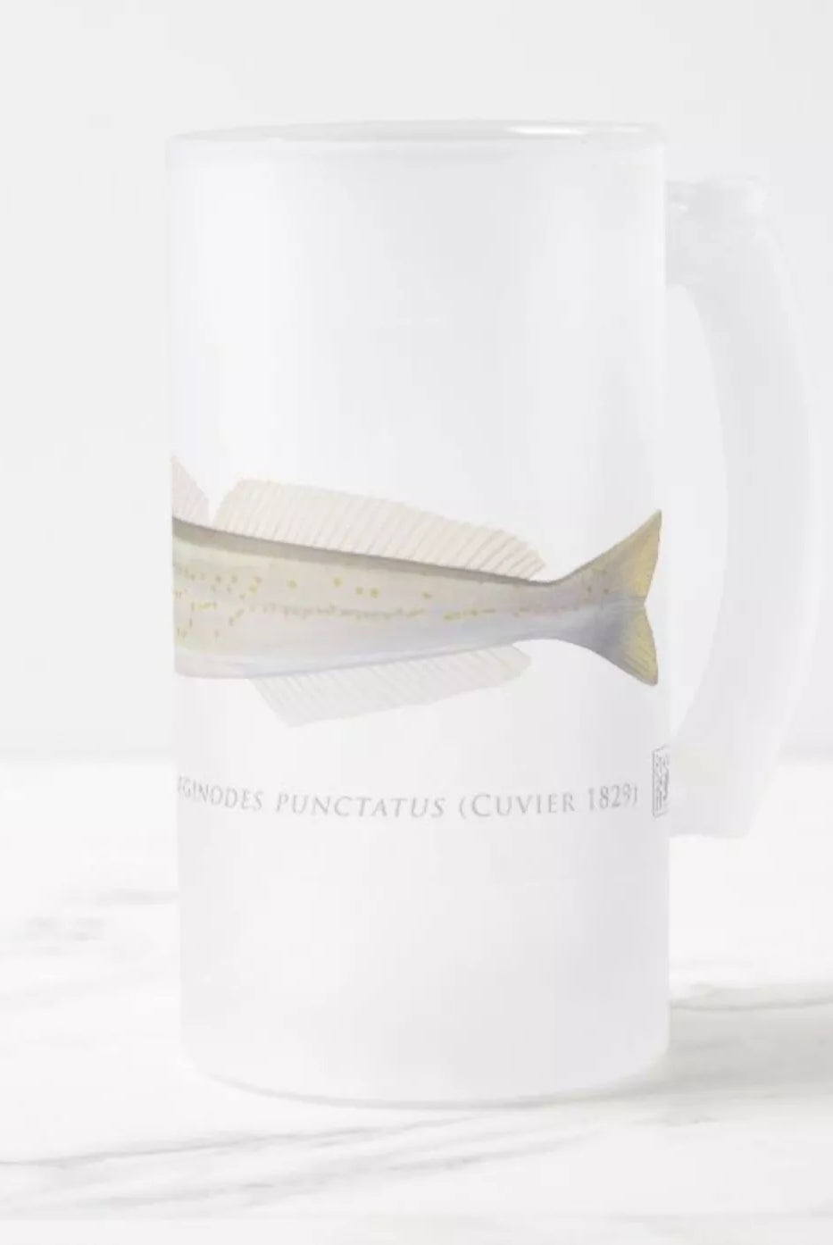 King George Whiting - Frosted Glass Stein-Stick Figure Fish Illustration