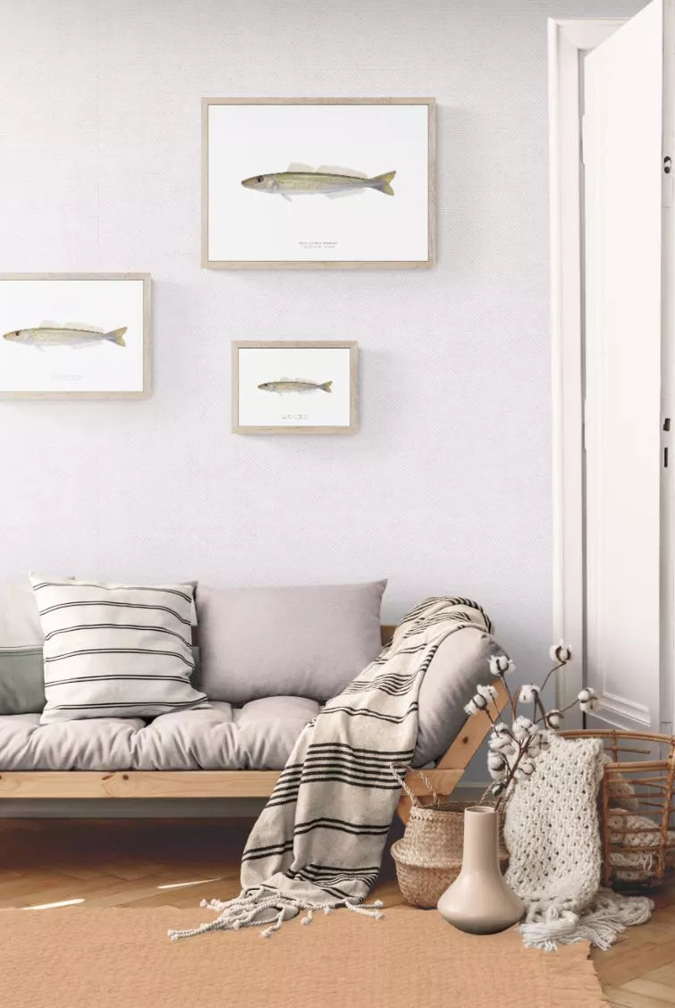 King George Whiting, Sillaginodes punctatus (Cuvier 1829) - Fine Art Print-Stick Figure Fish Illustration