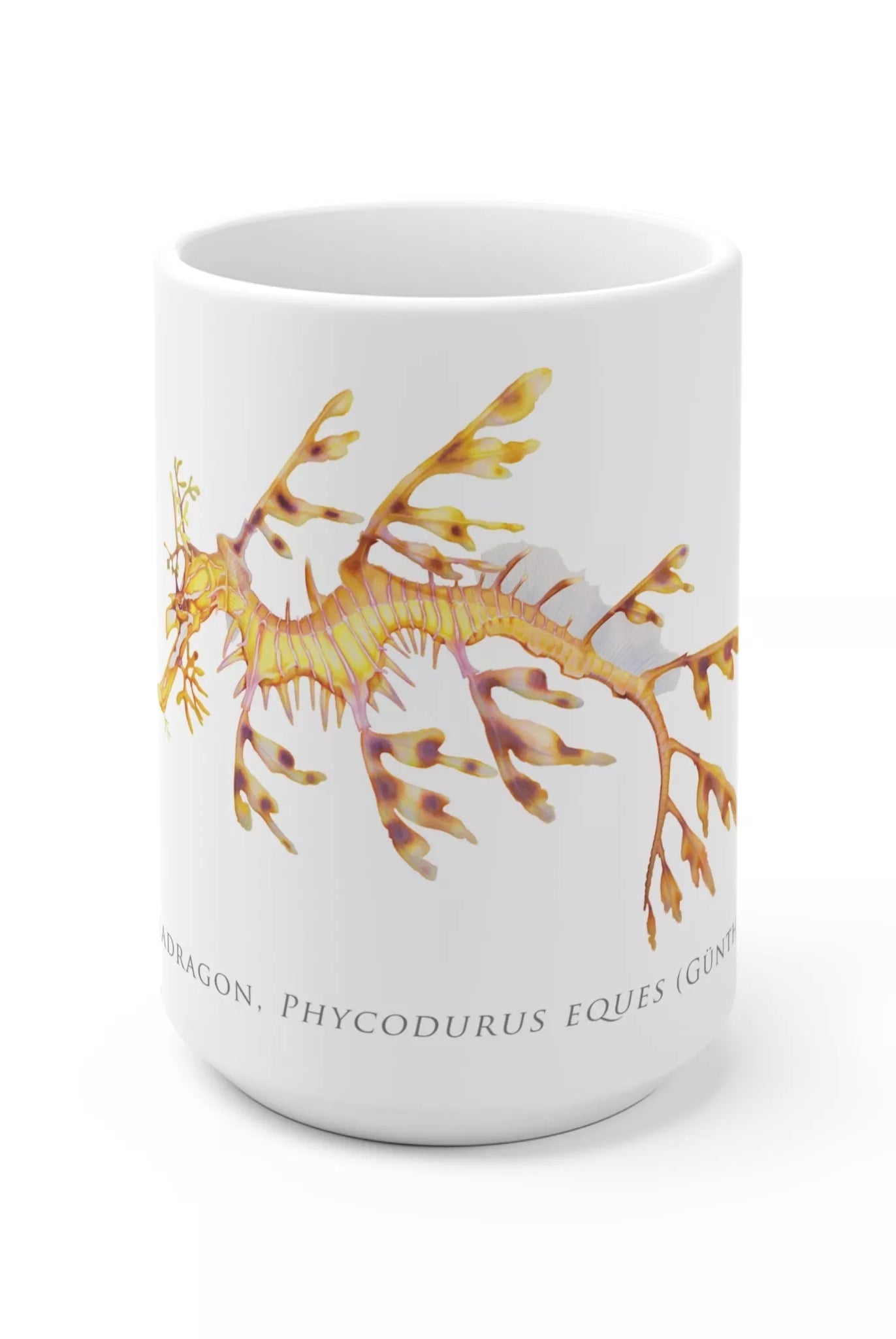 Leafy Seadragon, Phycodurus eques - Mug-Stick Figure Fish Illustration