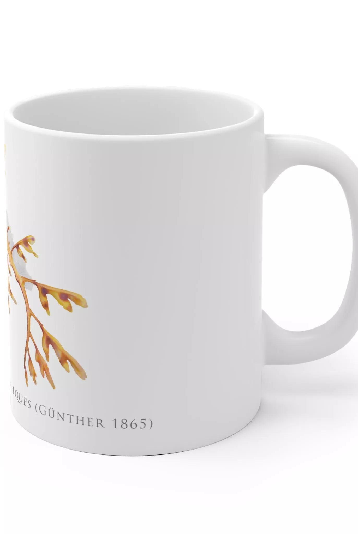 Leafy Seadragon, Phycodurus eques - Mug-Stick Figure Fish Illustration