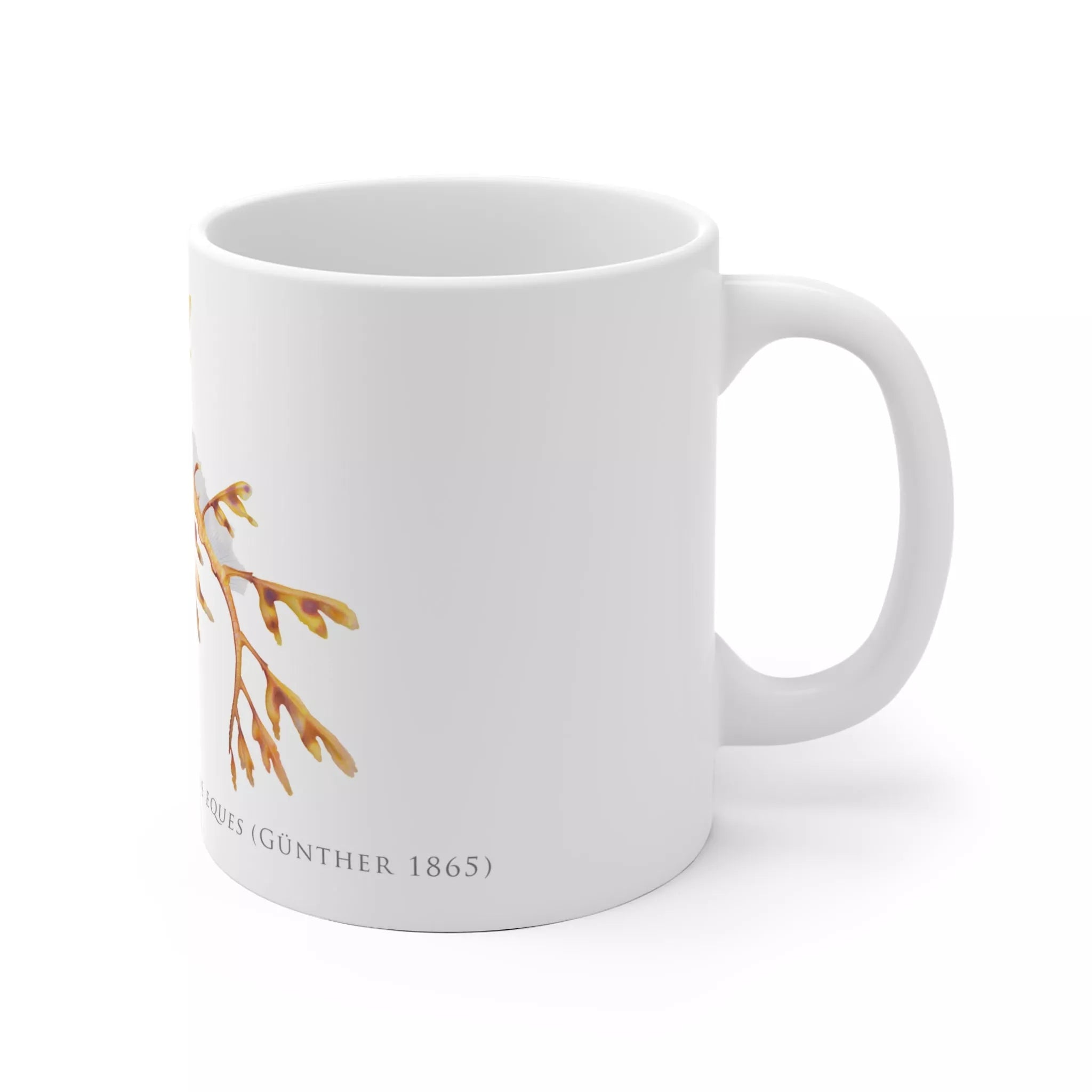 Leafy Seadragon, Phycodurus eques - Mug-Stick Figure Fish Illustration