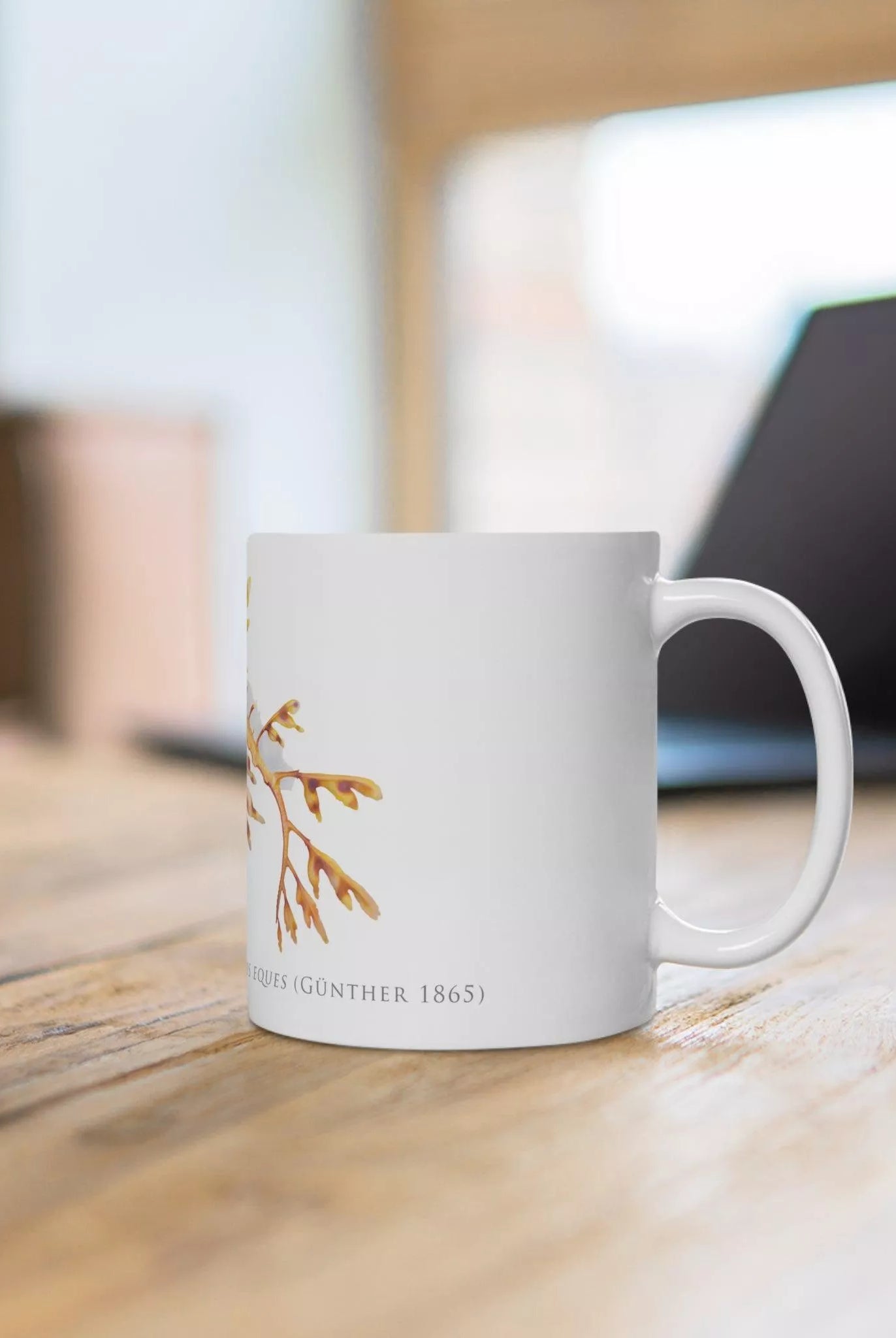 Leafy Seadragon, Phycodurus eques - Mug-Stick Figure Fish Illustration