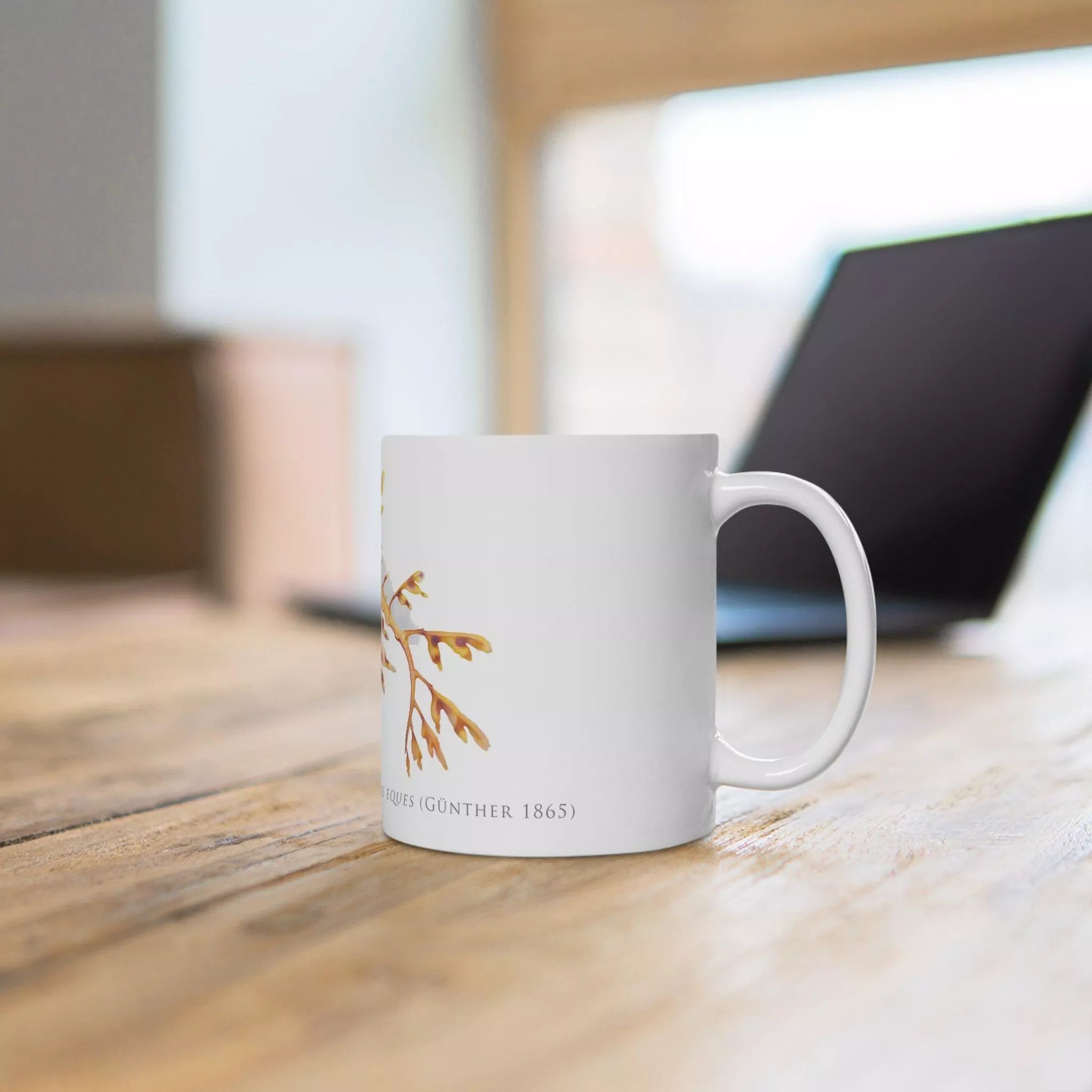 Leafy Seadragon, Phycodurus eques - Mug-Stick Figure Fish Illustration
