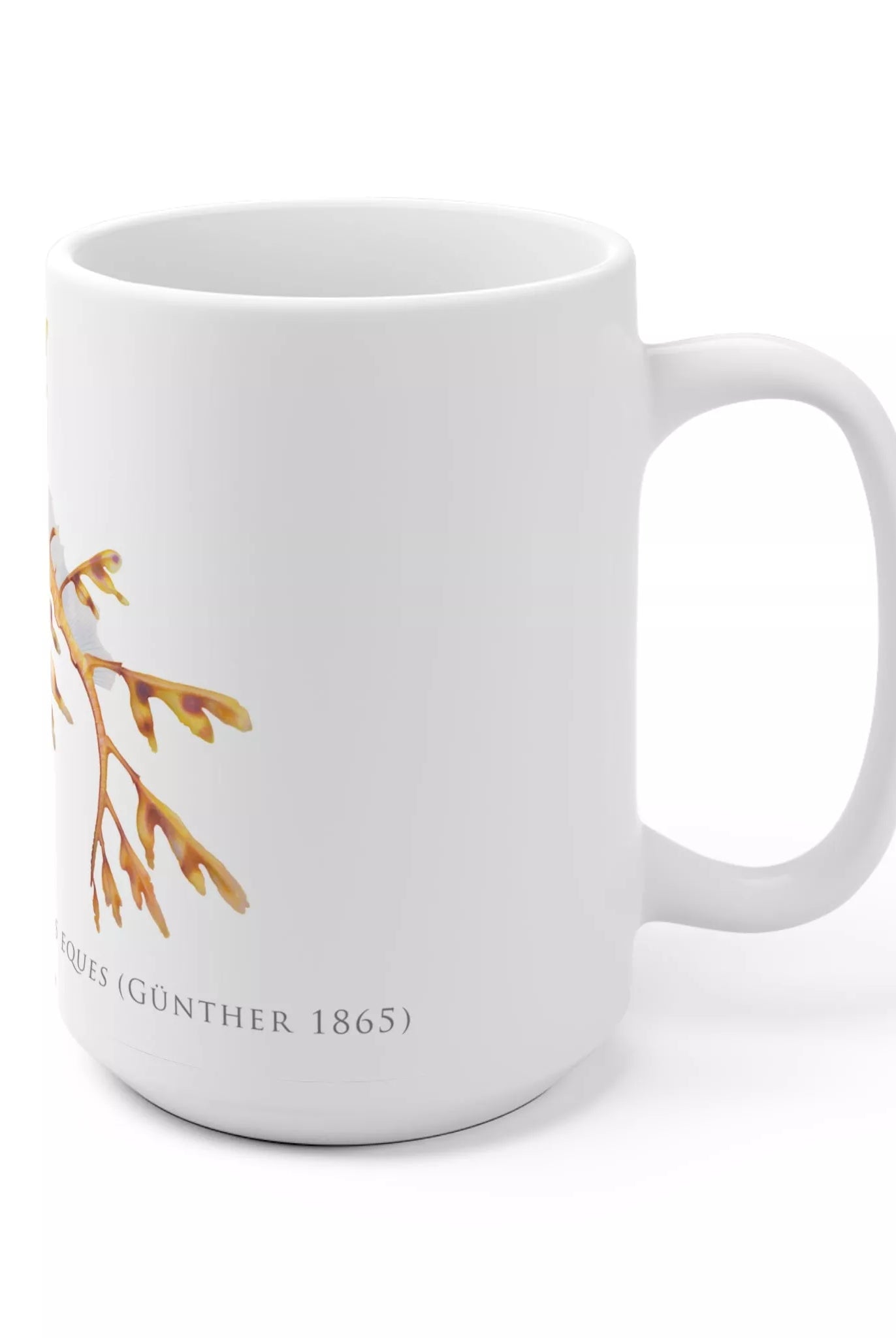 Leafy Seadragon, Phycodurus eques - Mug-Stick Figure Fish Illustration
