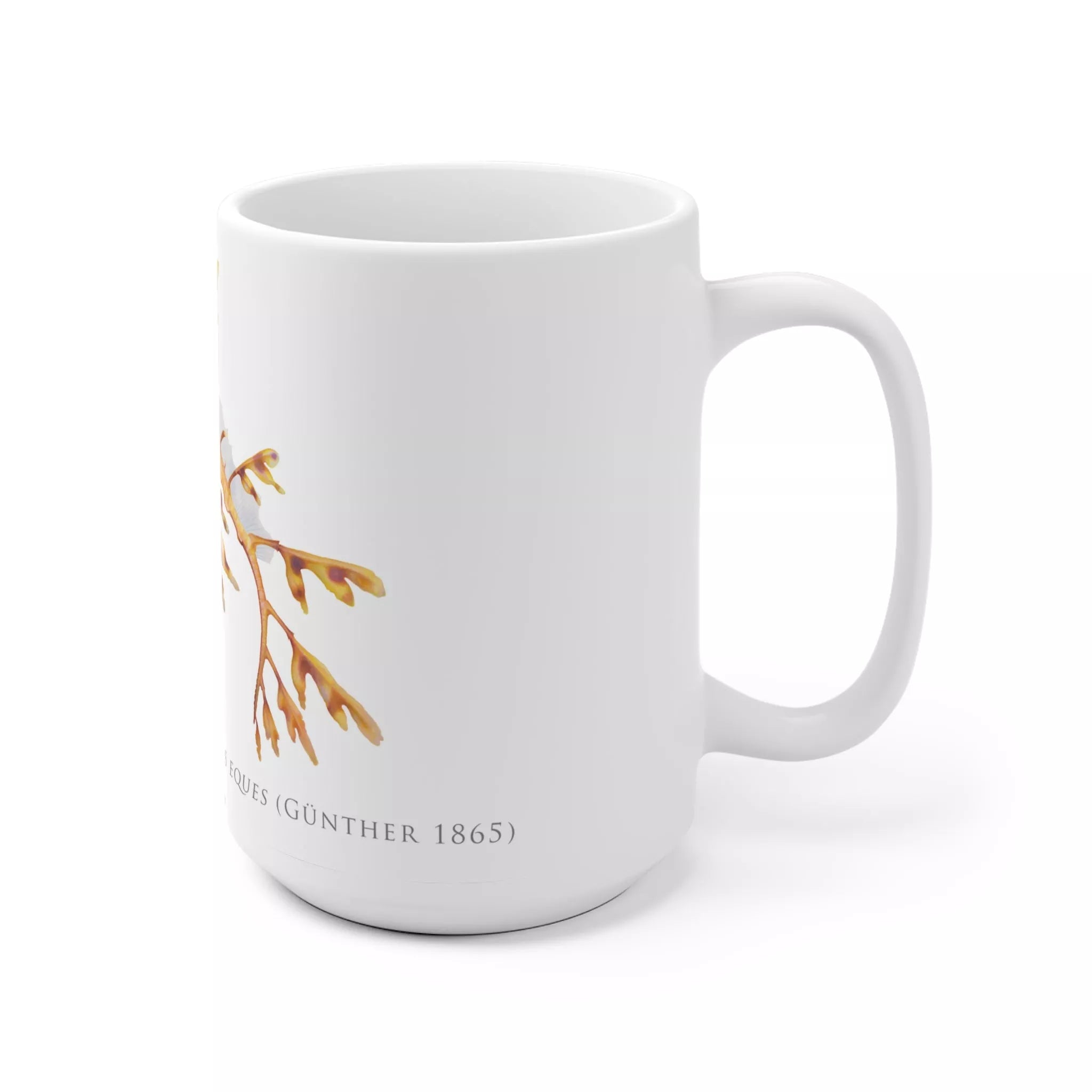 Leafy Seadragon, Phycodurus eques - Mug-Stick Figure Fish Illustration