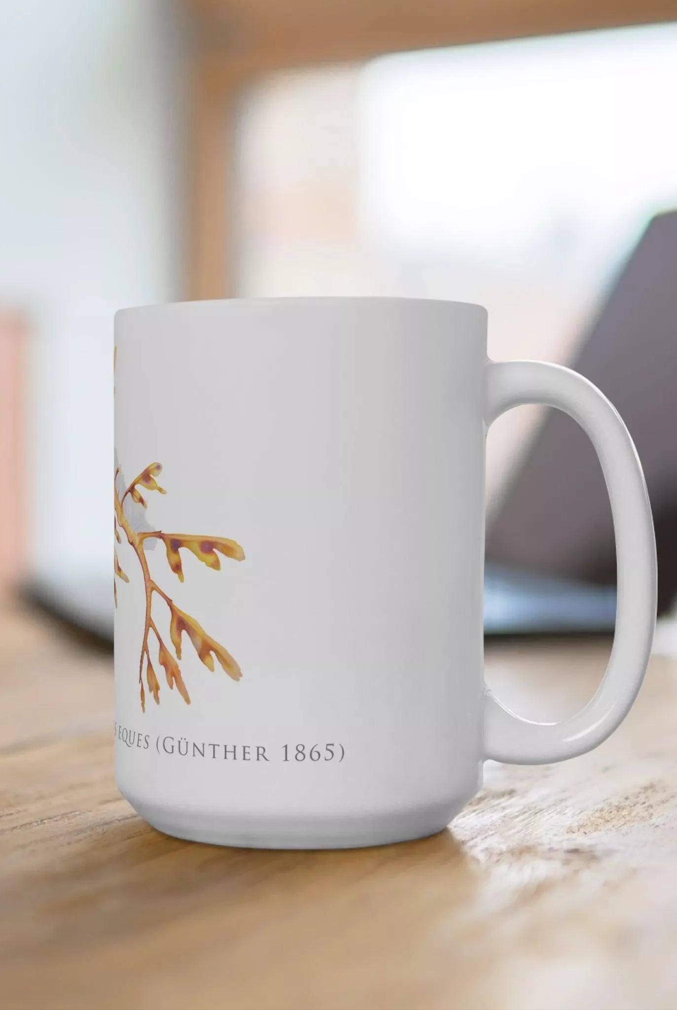 Leafy Seadragon, Phycodurus eques - Mug-Stick Figure Fish Illustration