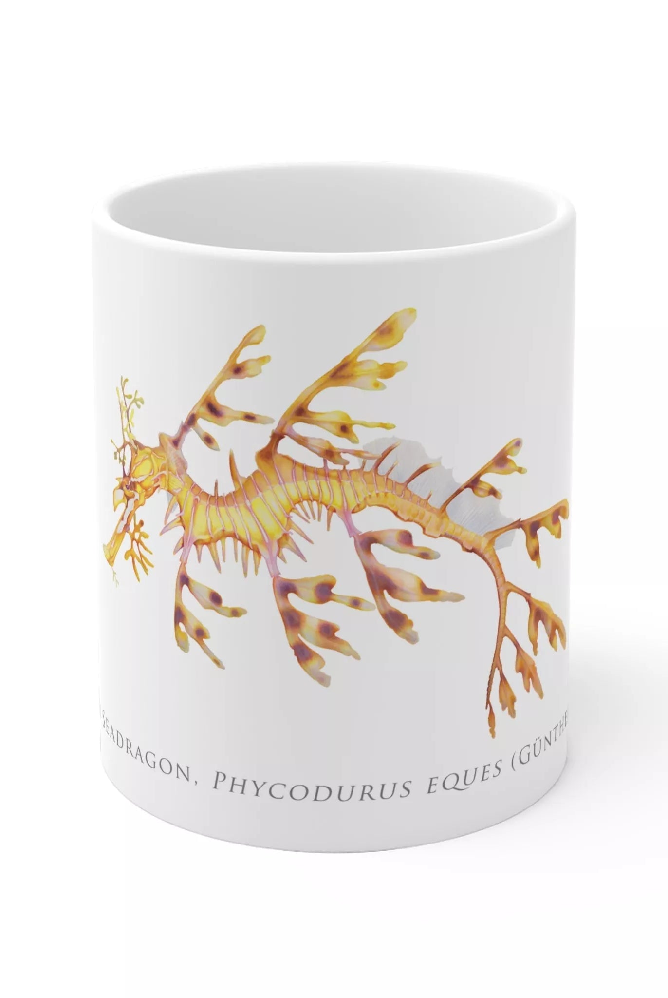 Leafy Seadragon, Phycodurus eques - Mug-Stick Figure Fish Illustration